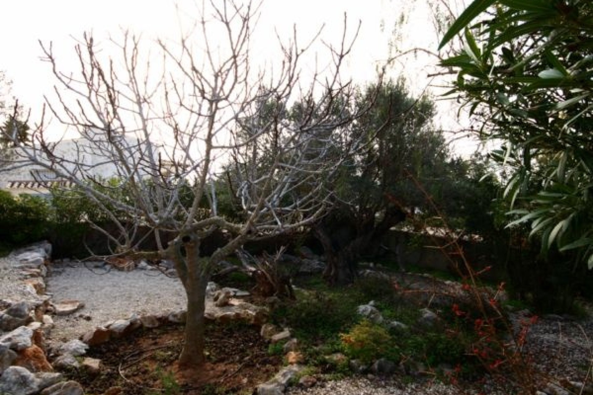 Verkauf - Villa - Benitachell  - Cumbre del Sol