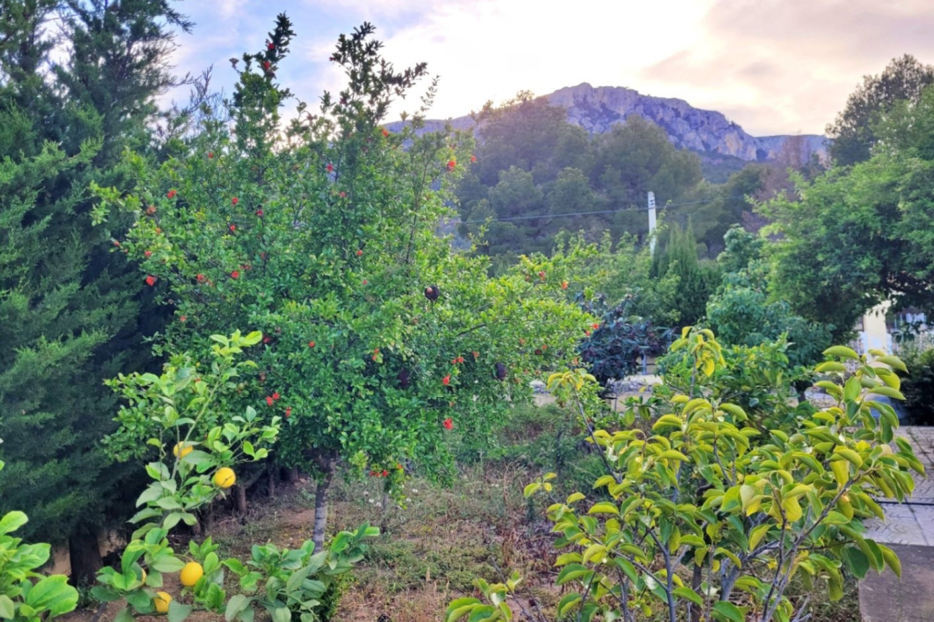 Verkauf - Villa - Calpe