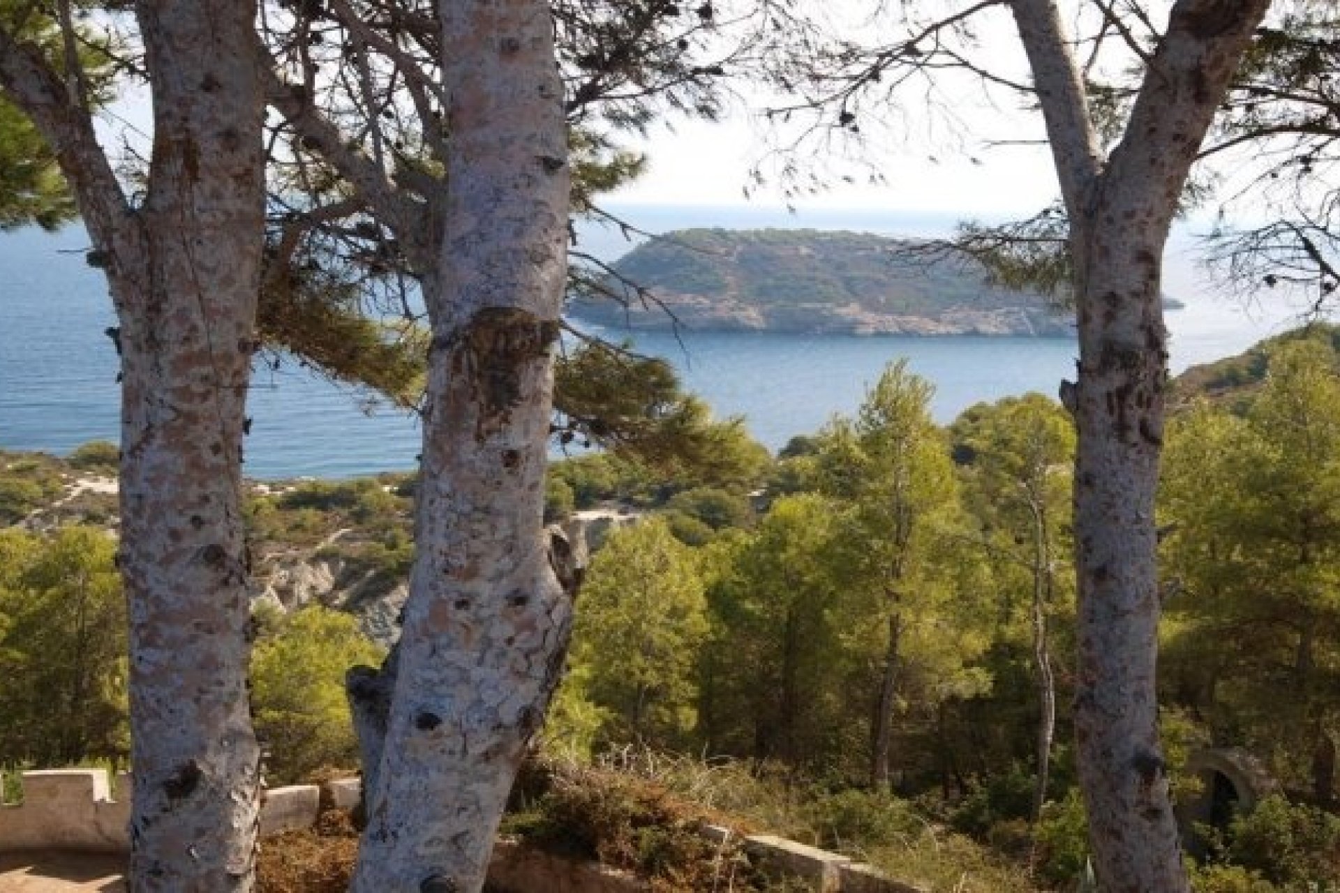 Verkauf - Villa - Javea - Cap de la Nao