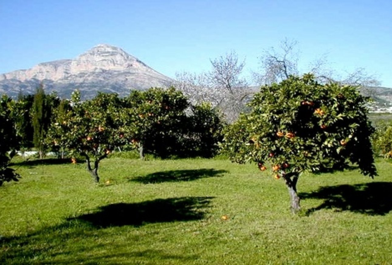 Verkauf - Villa - Javea - Javea/Xabia