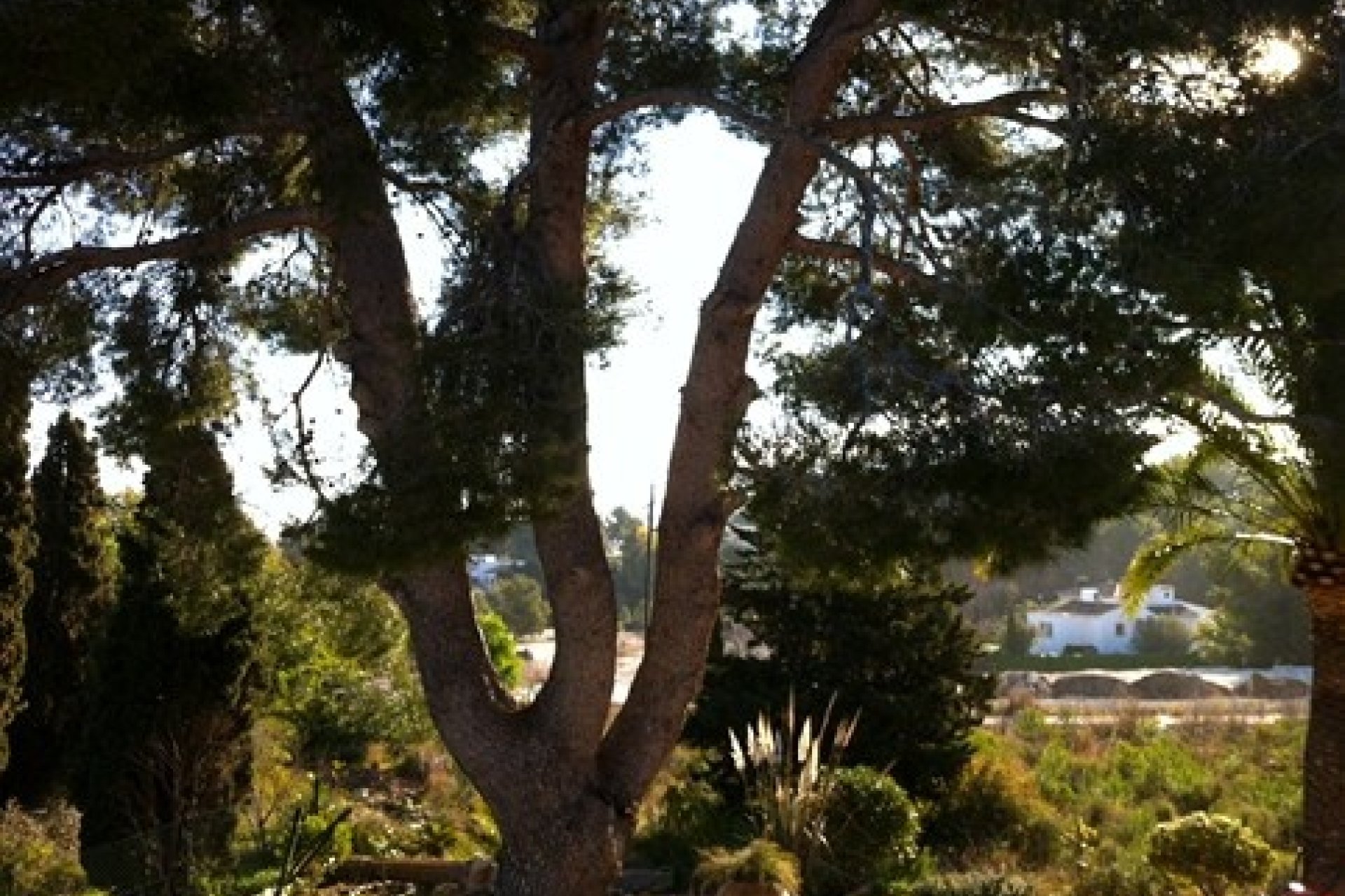 Verkauf - Villa - Javea - Javea/Xabia