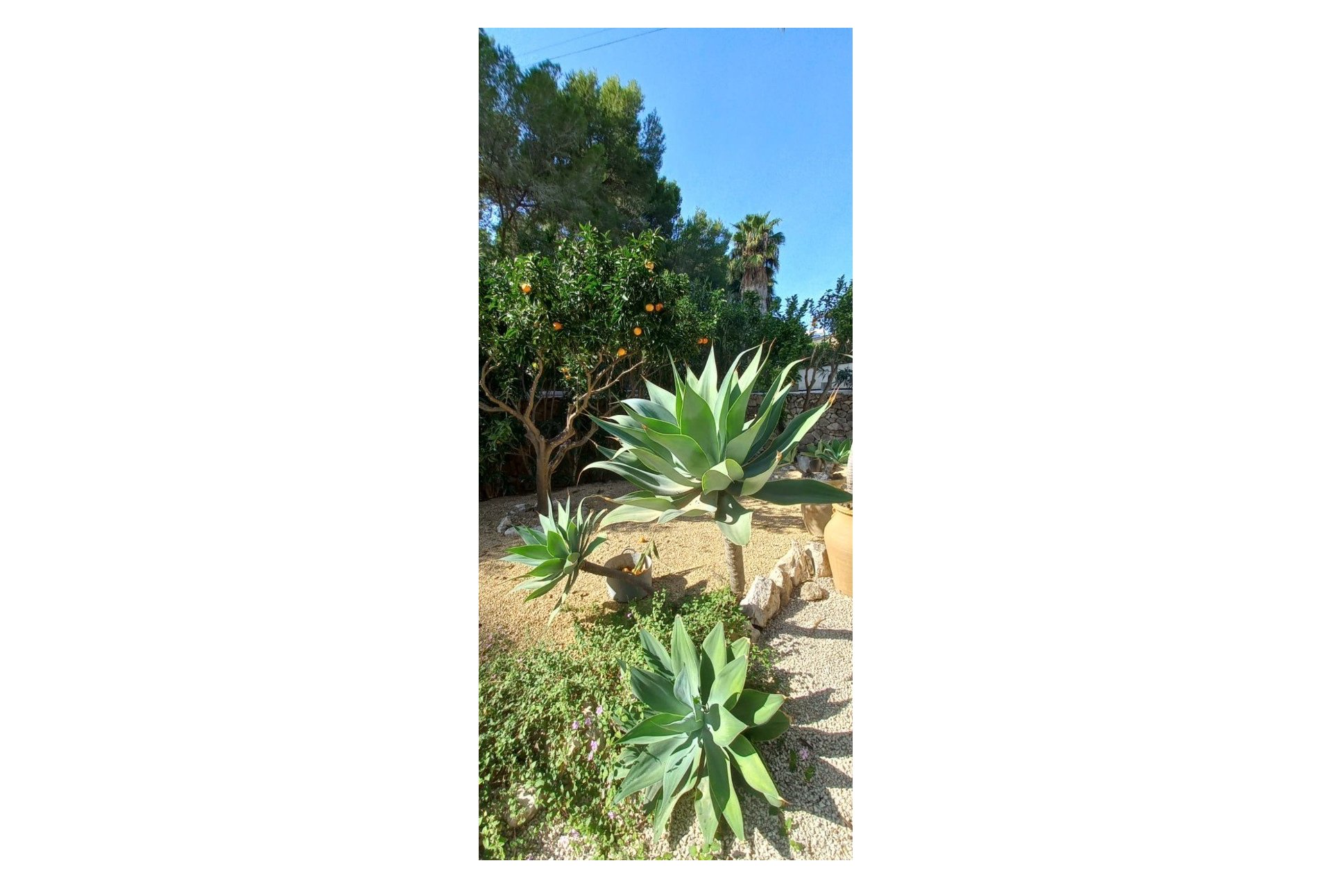 Verkauf - Villa - Moraira - Moravit