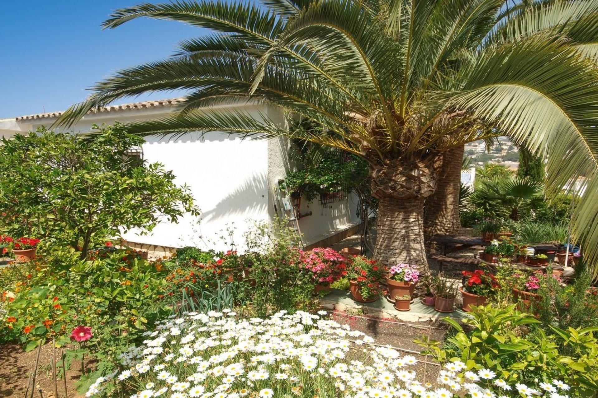 Verkauf - Villa - Moraira - Sabatera