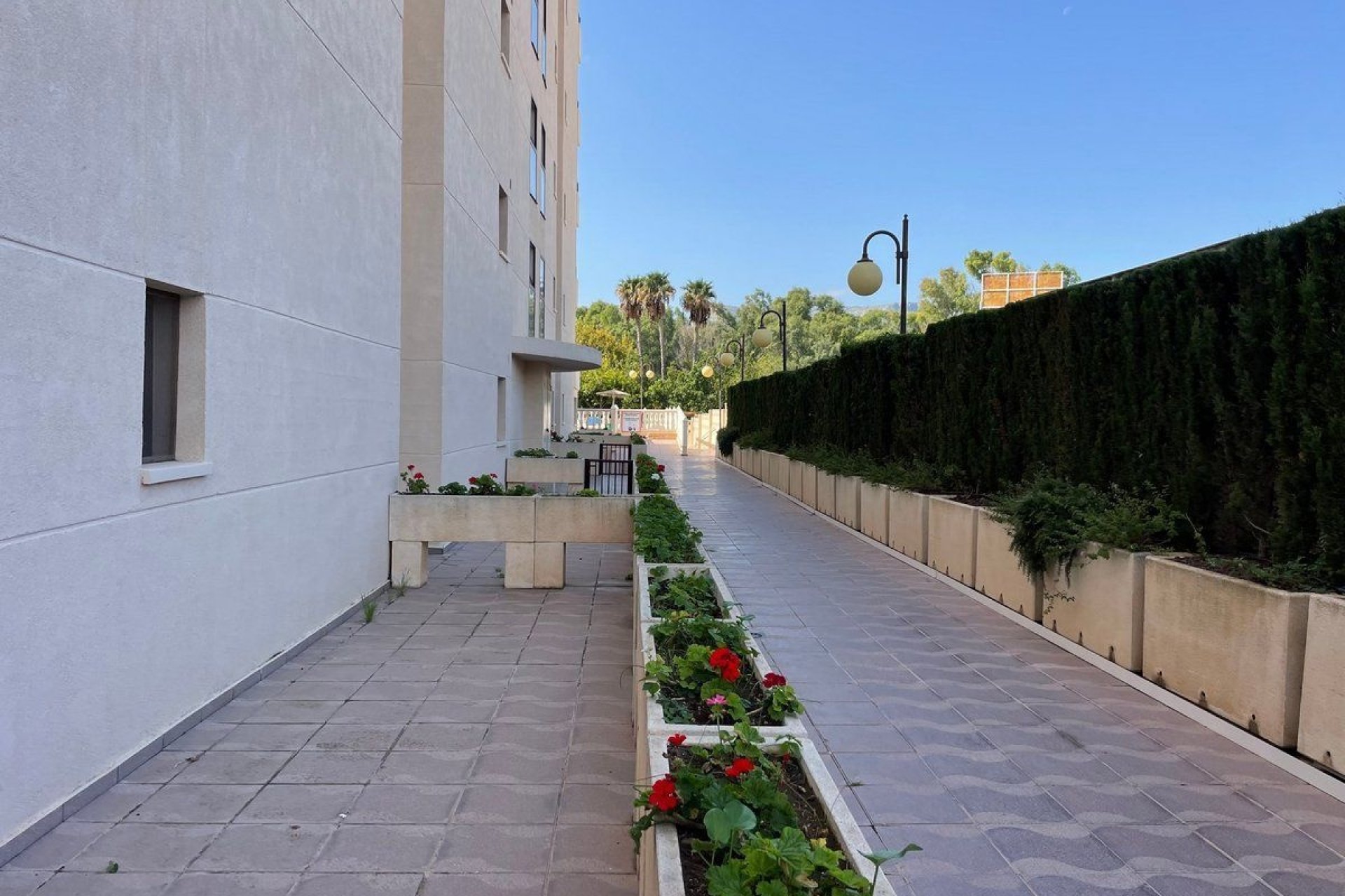 Verkauf - Wohnung - Calpe - Playa