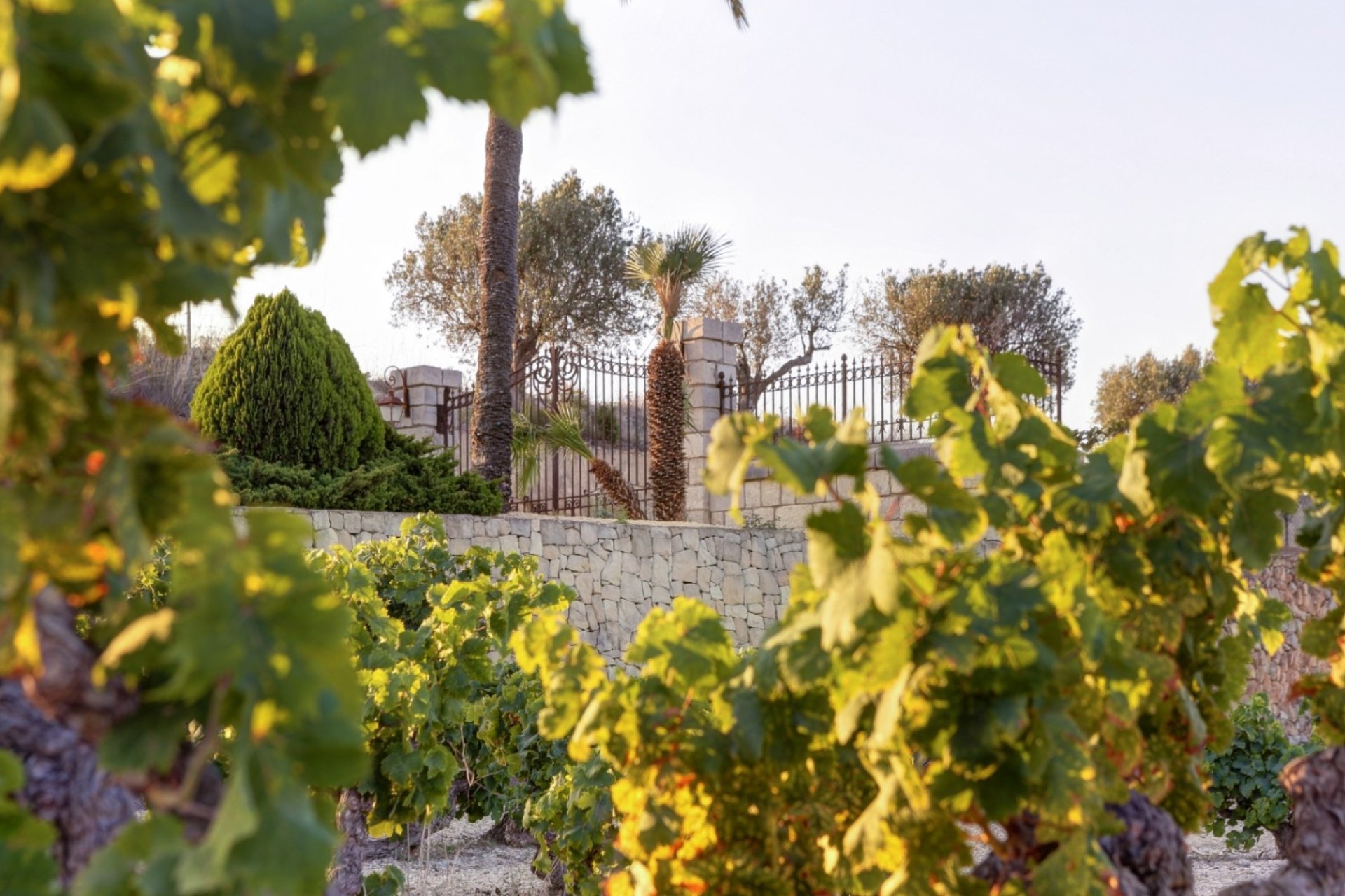 Verkoop - Finca - Moraira - Campo