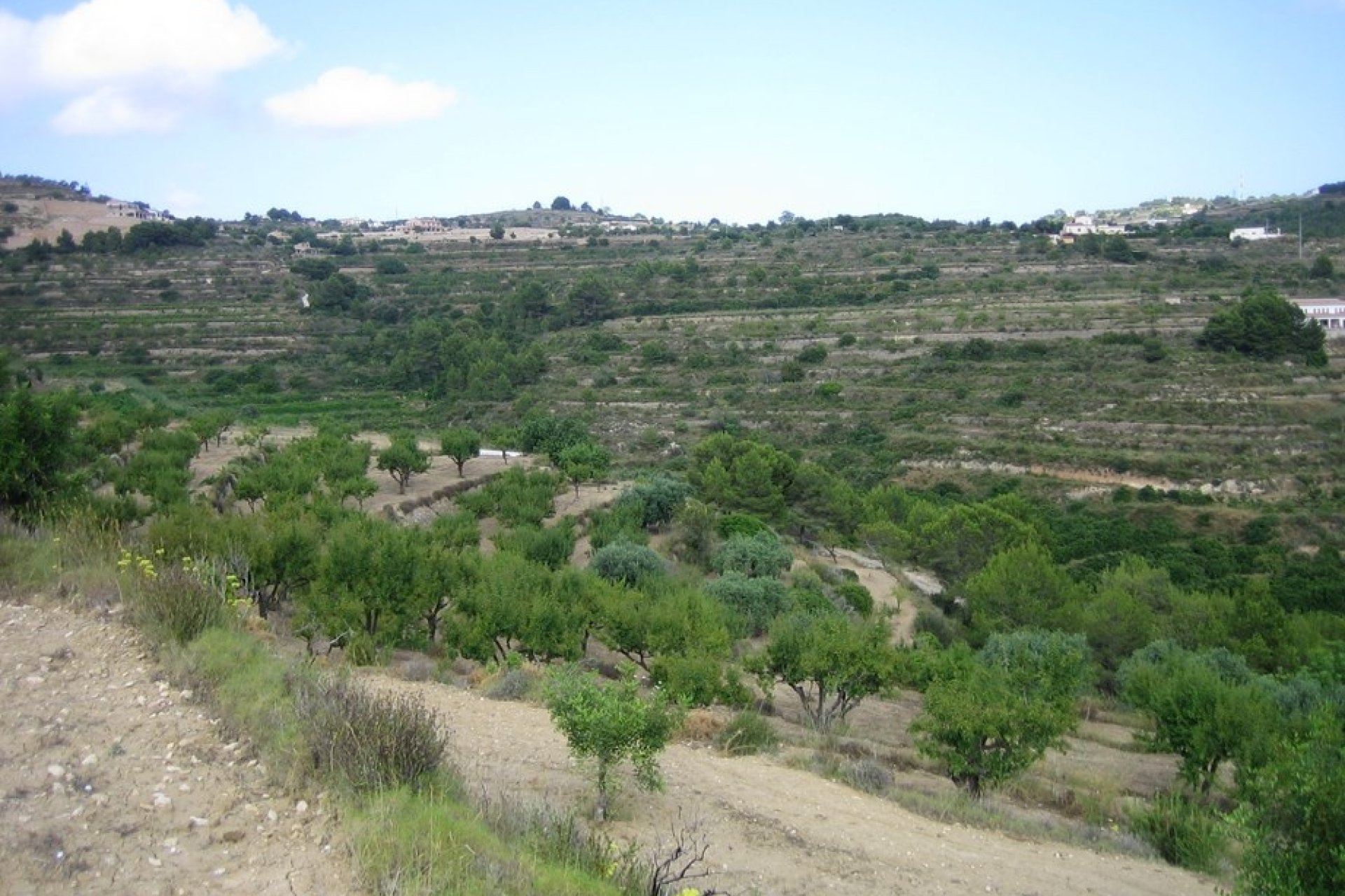 Verkoop - Land - Benissa - Landelijk
