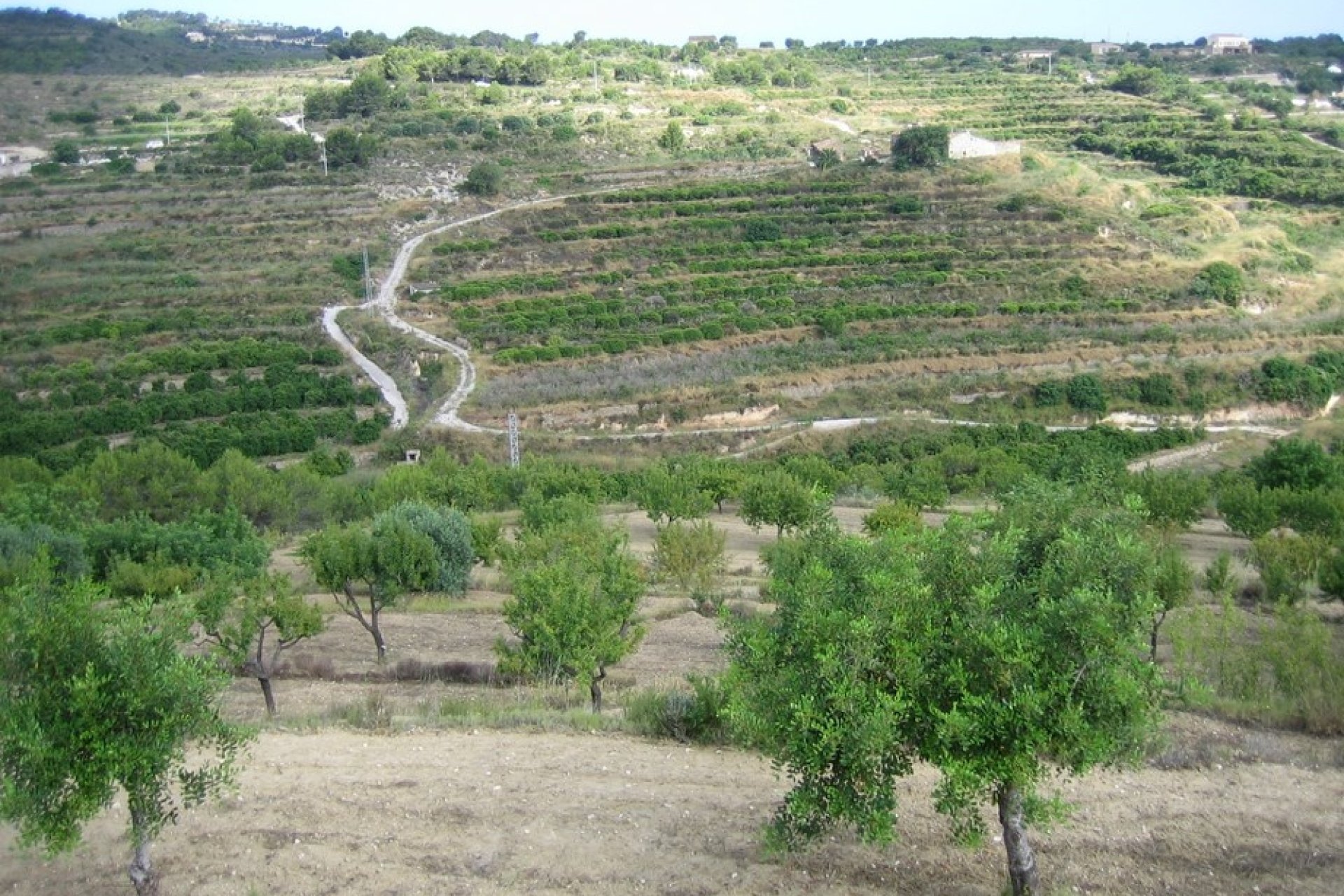 Verkoop - Land - Benissa - Landelijk