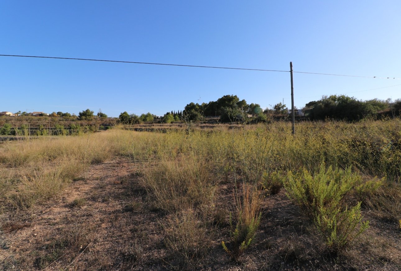 Verkoop - Land - Benissa - Landelijk