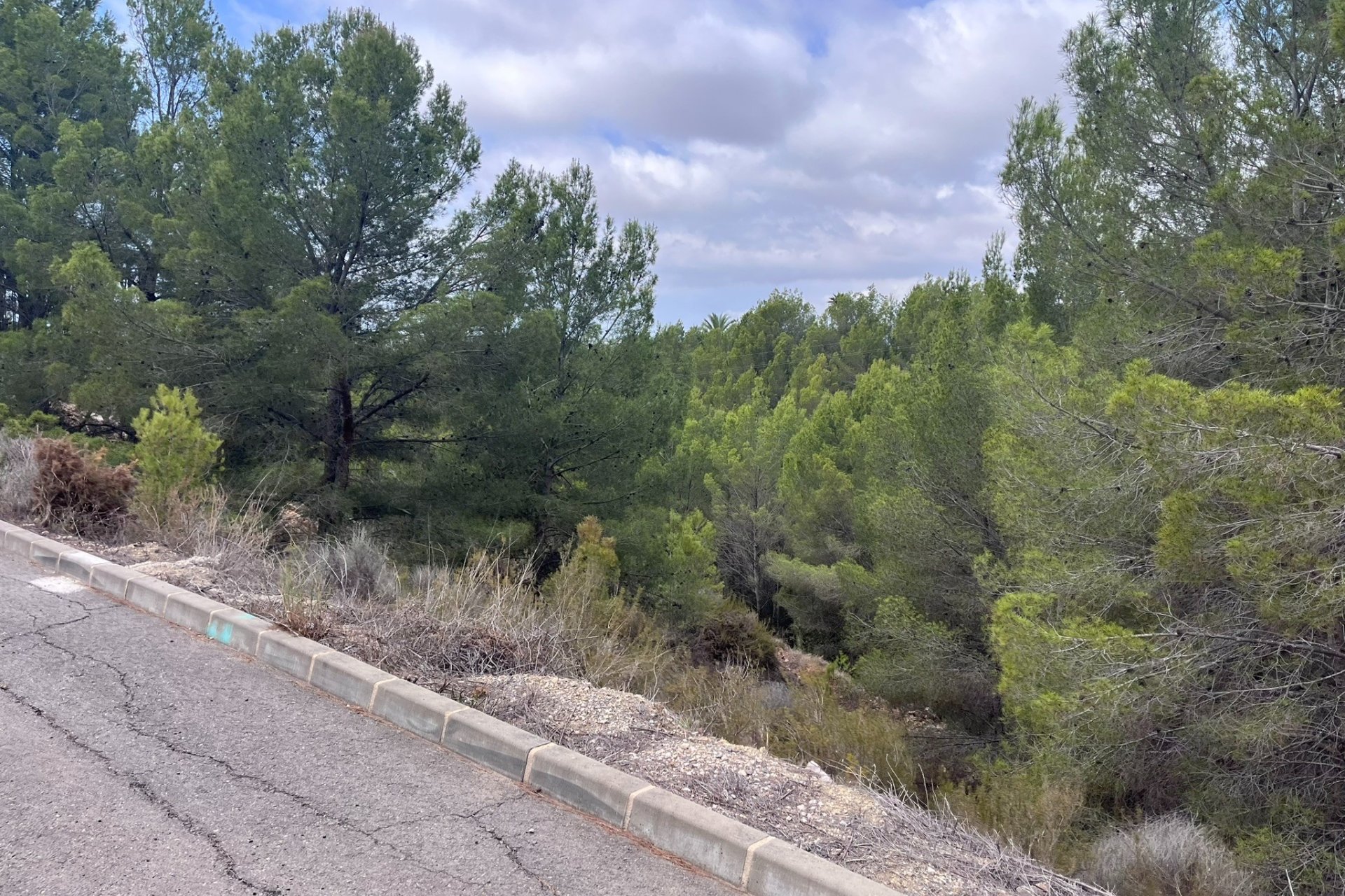 Verkoop - Land - Callosa d'En Sarrià - 03510