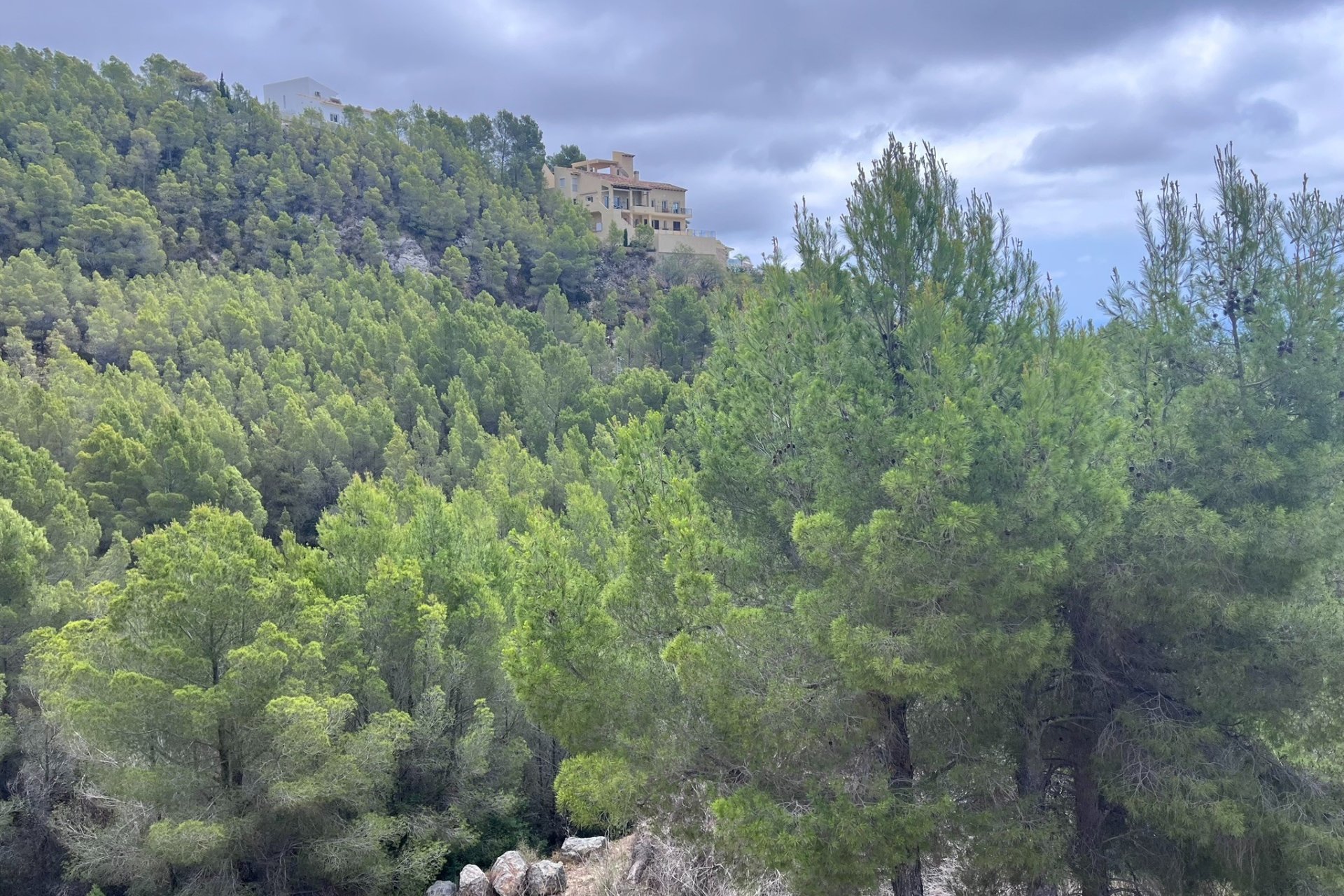 Verkoop - Land - Callosa d'En Sarrià - 03510