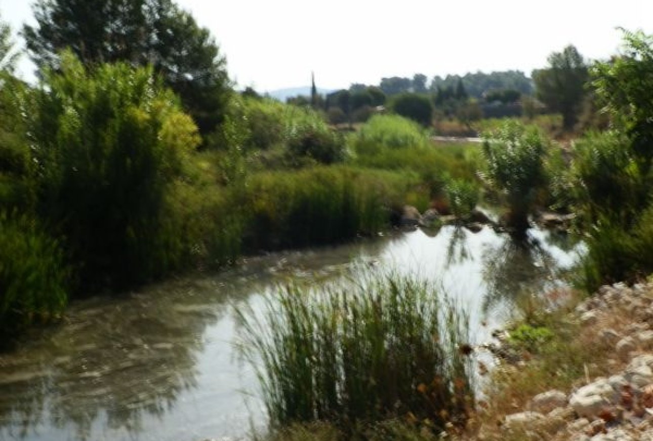 Verkoop - Land - Jalón