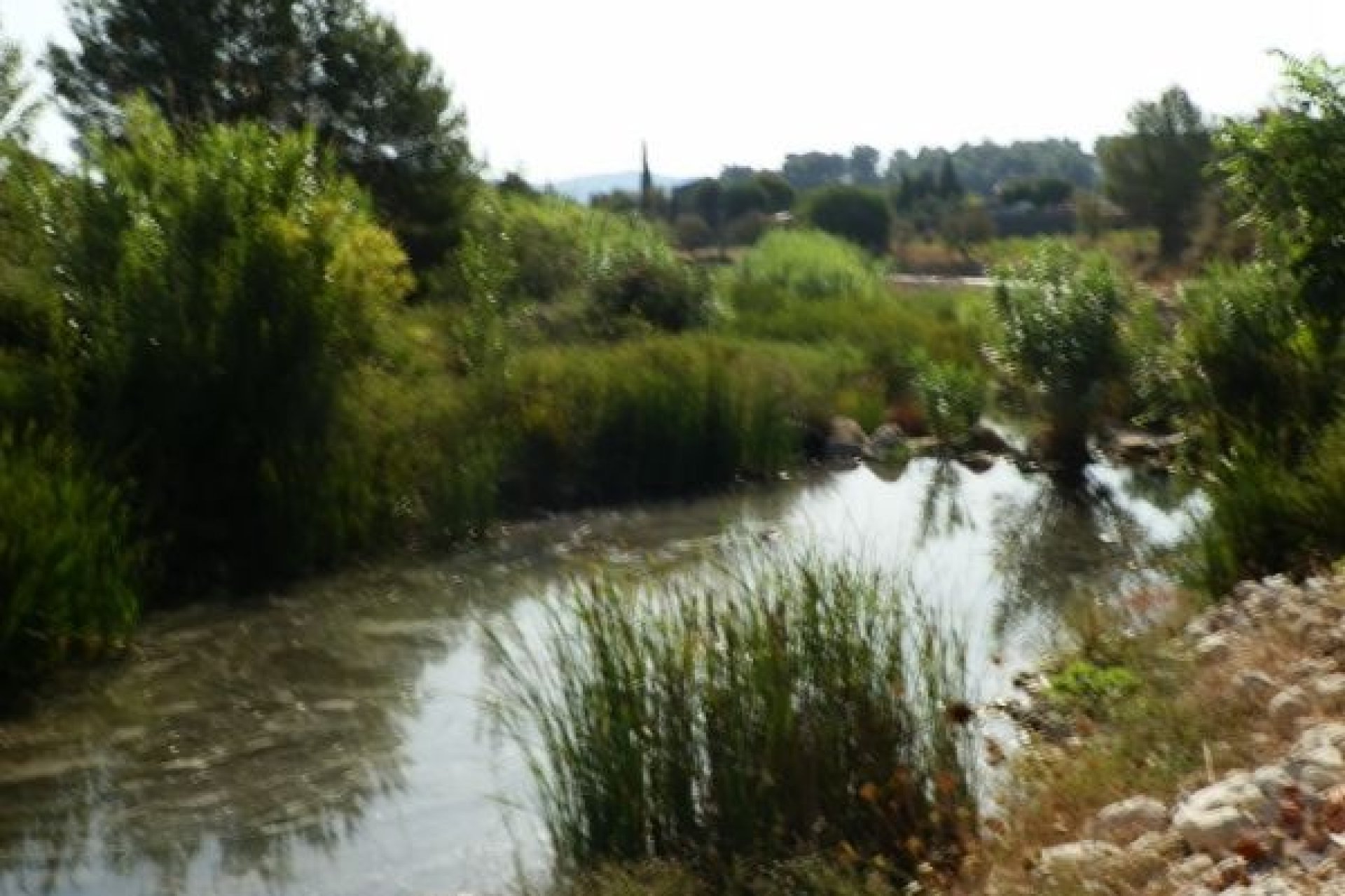 Verkoop - Land - Jalón