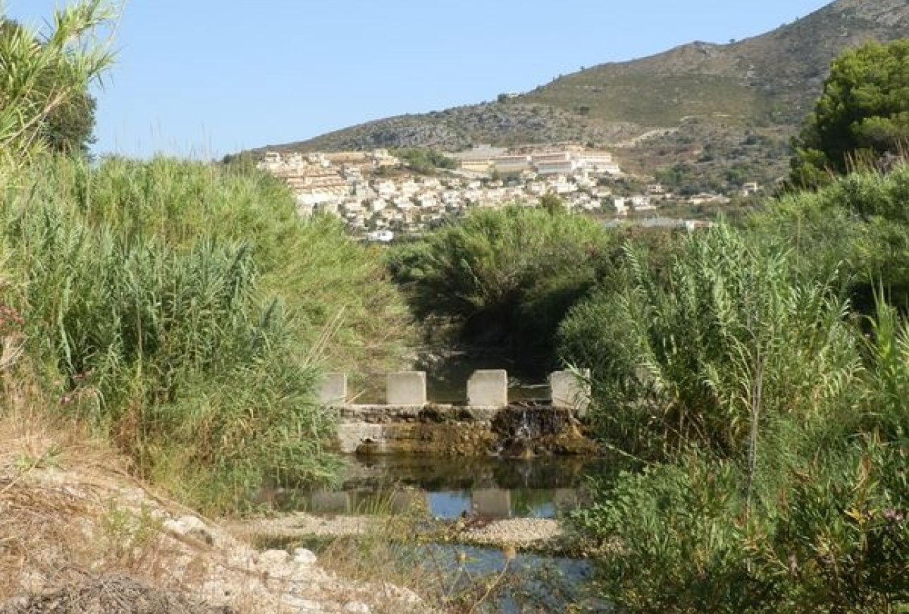 Verkoop - Land - Jalón