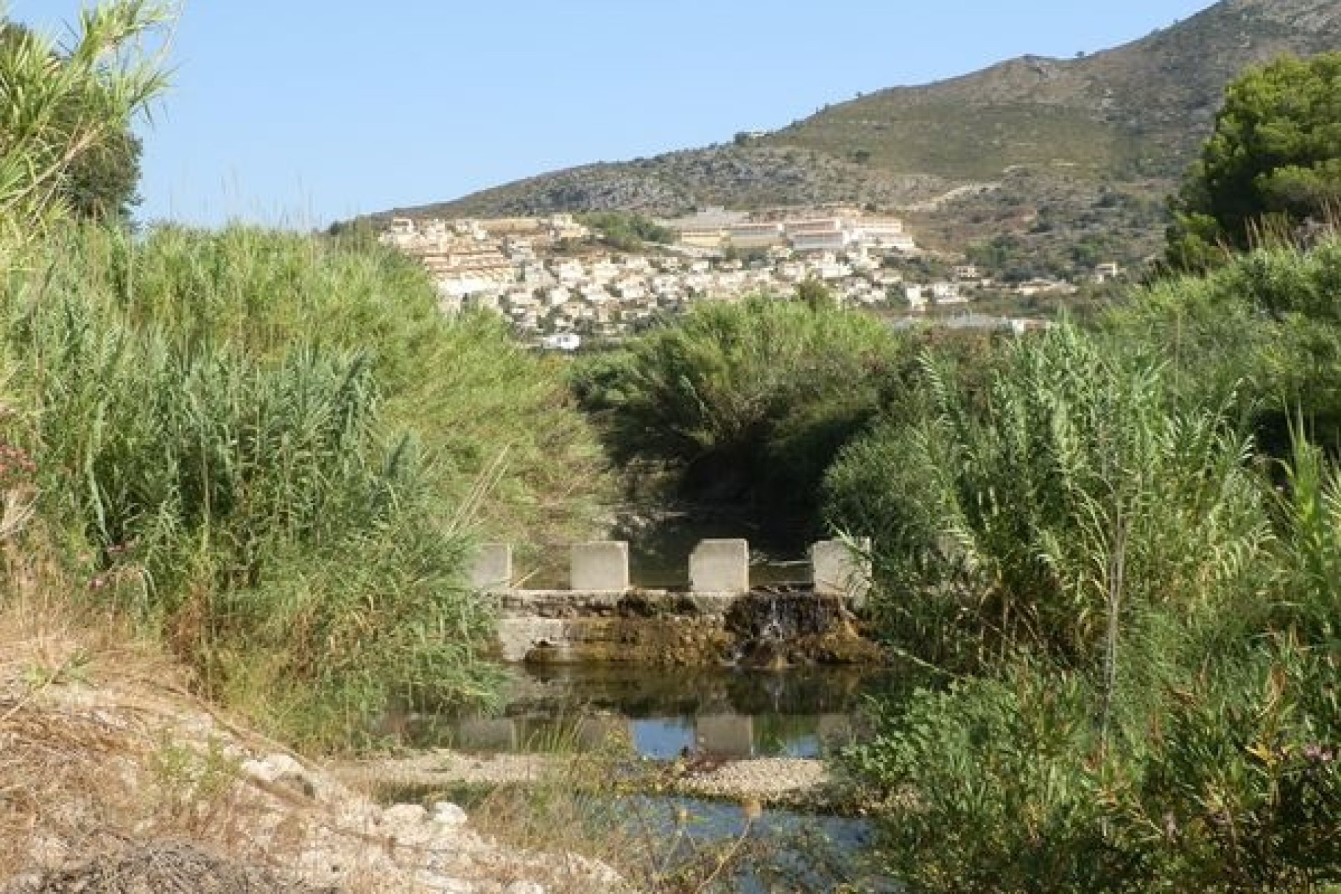 Verkoop - Land - Jalón