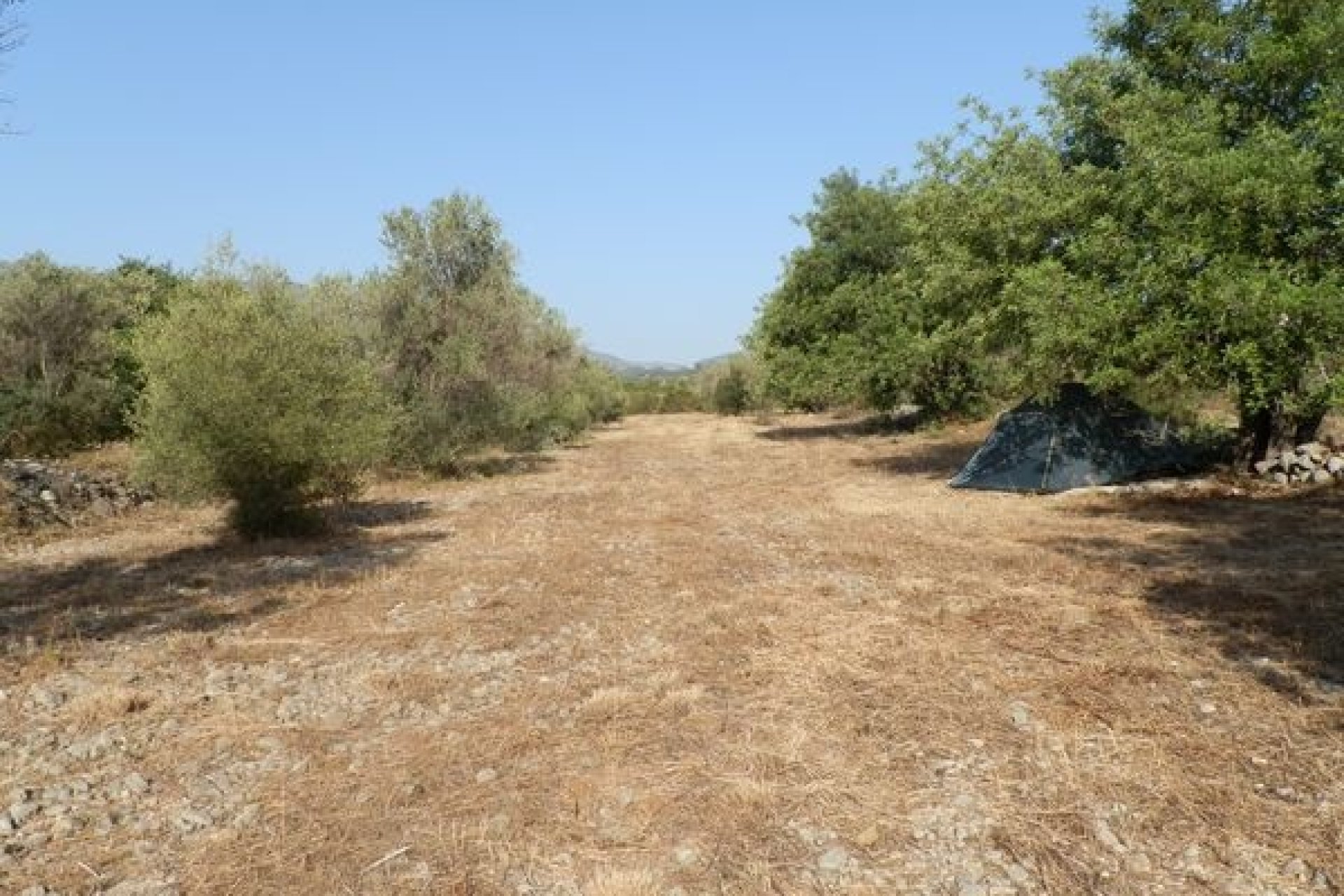 Verkoop - Land - Jalón