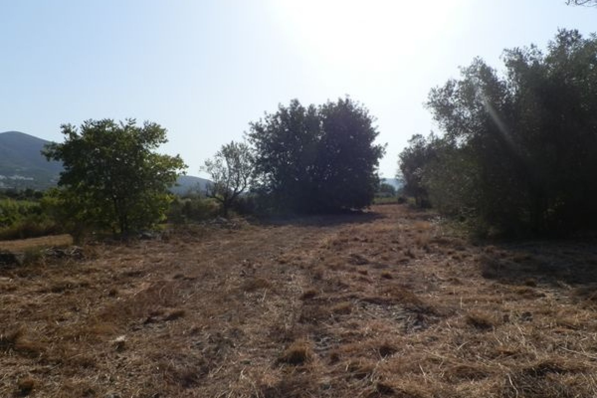 Verkoop - Land - Jalón