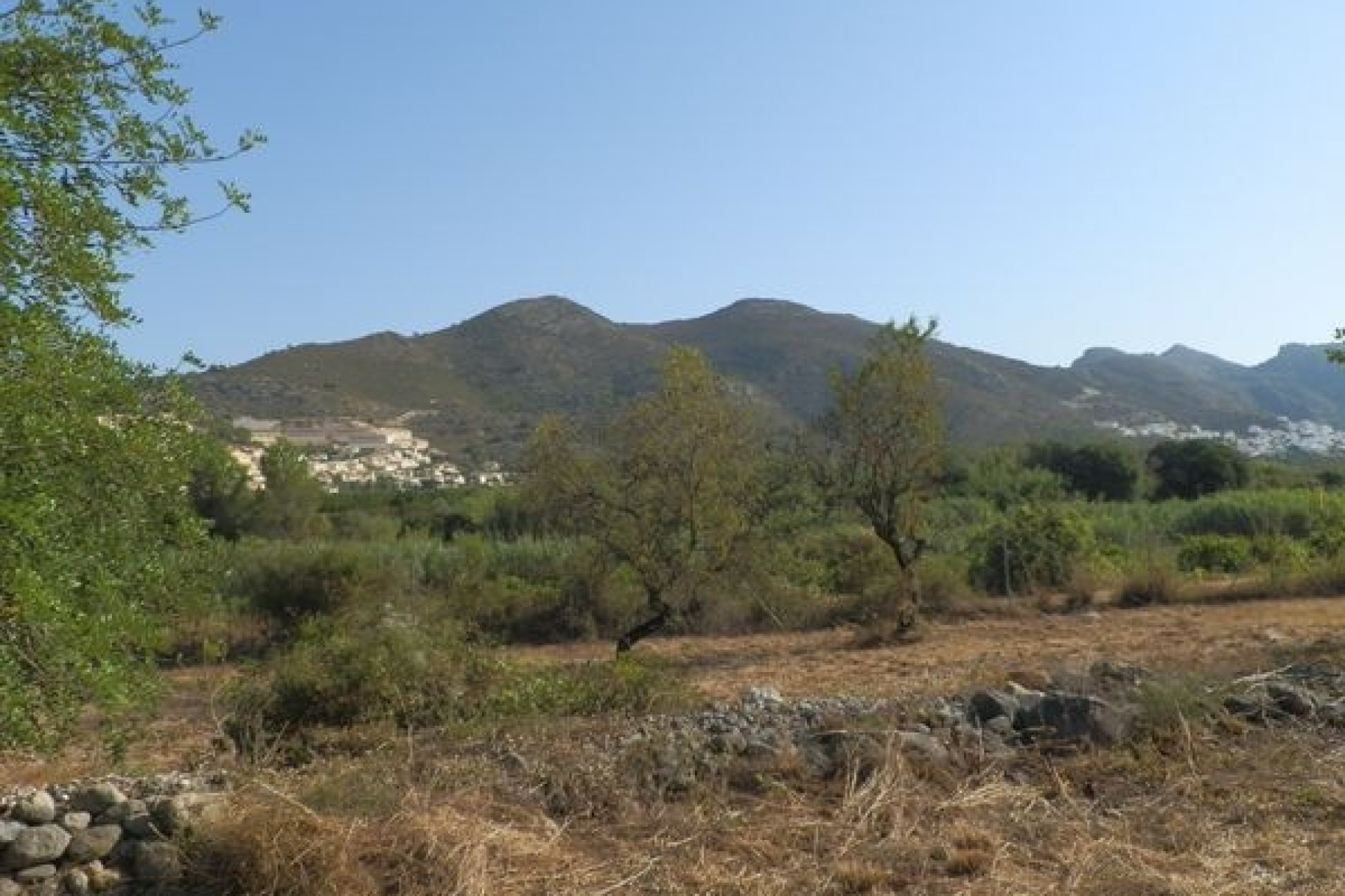 Verkoop - Land - Jalón
