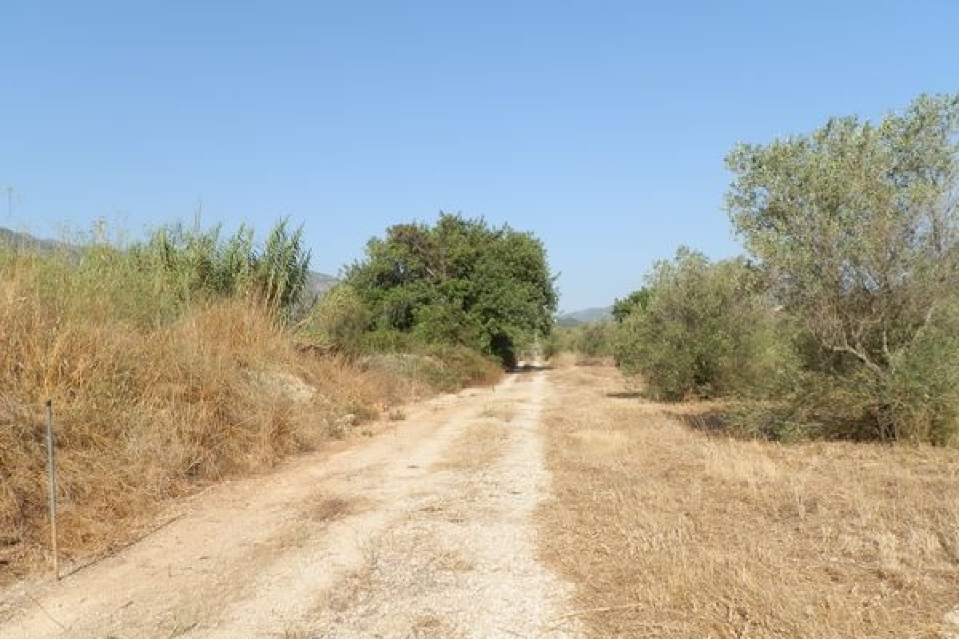 Verkoop - Land - Jalón