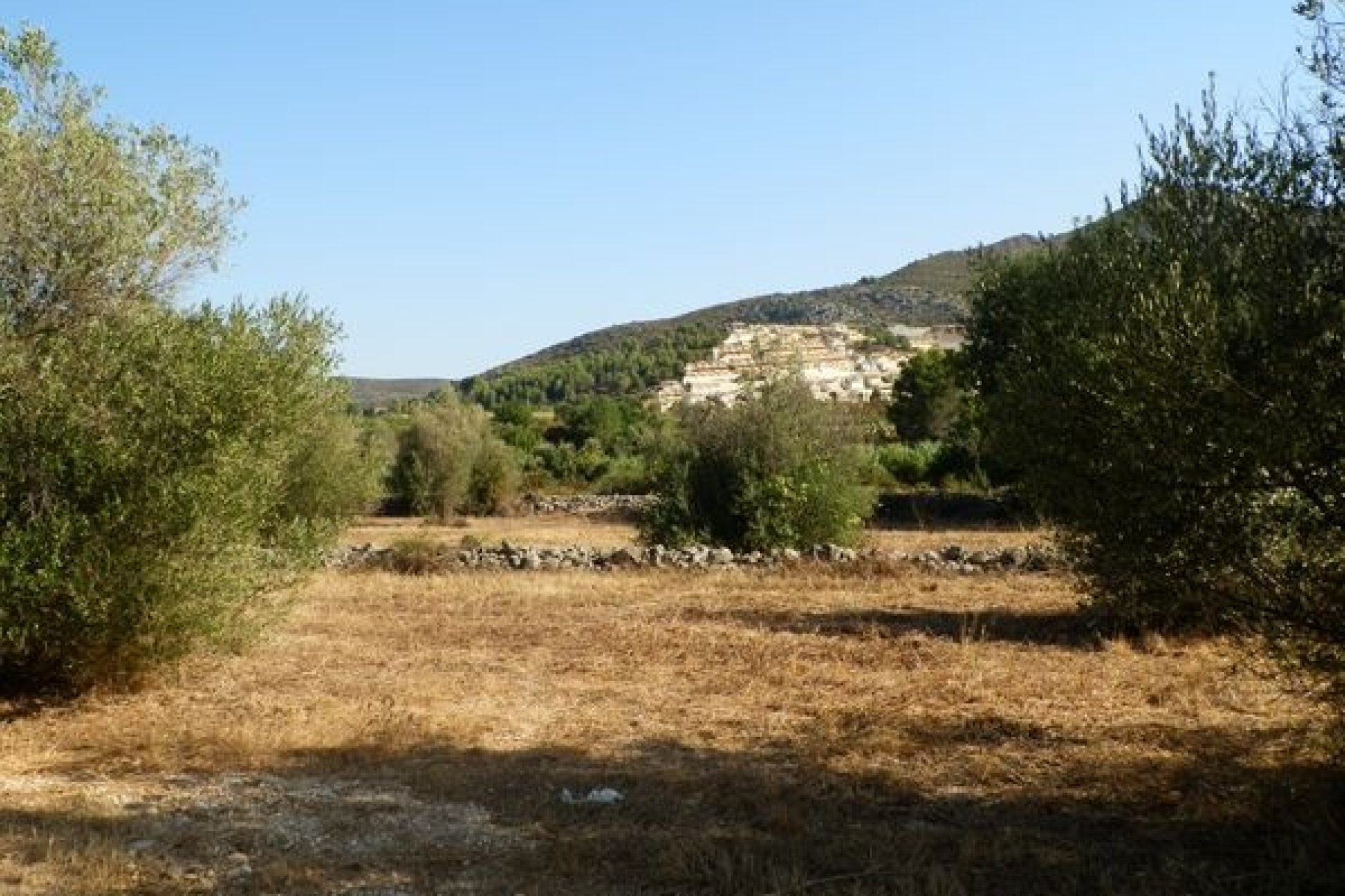 Verkoop - Land - Jalón