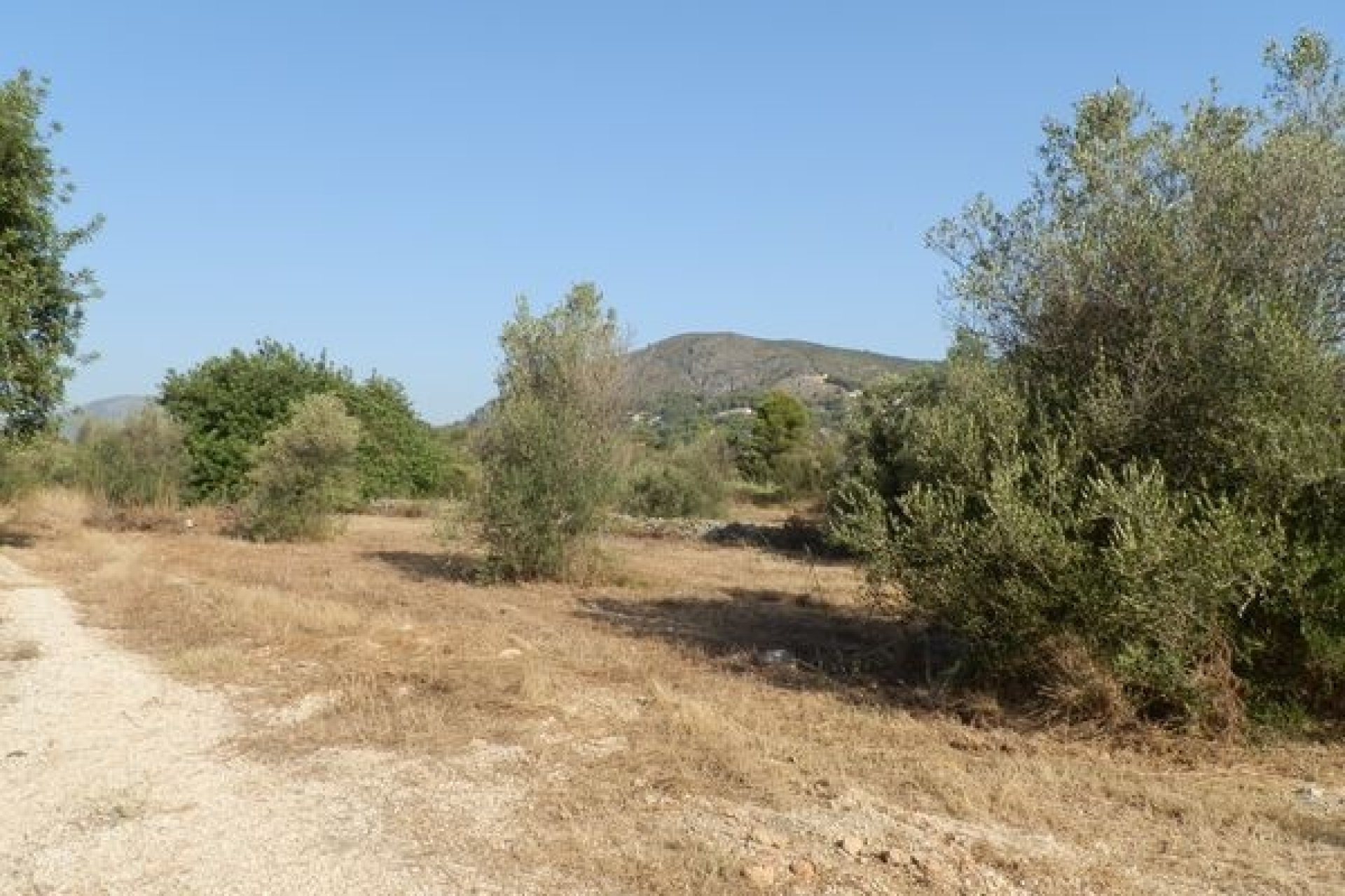 Verkoop - Land - Jalón