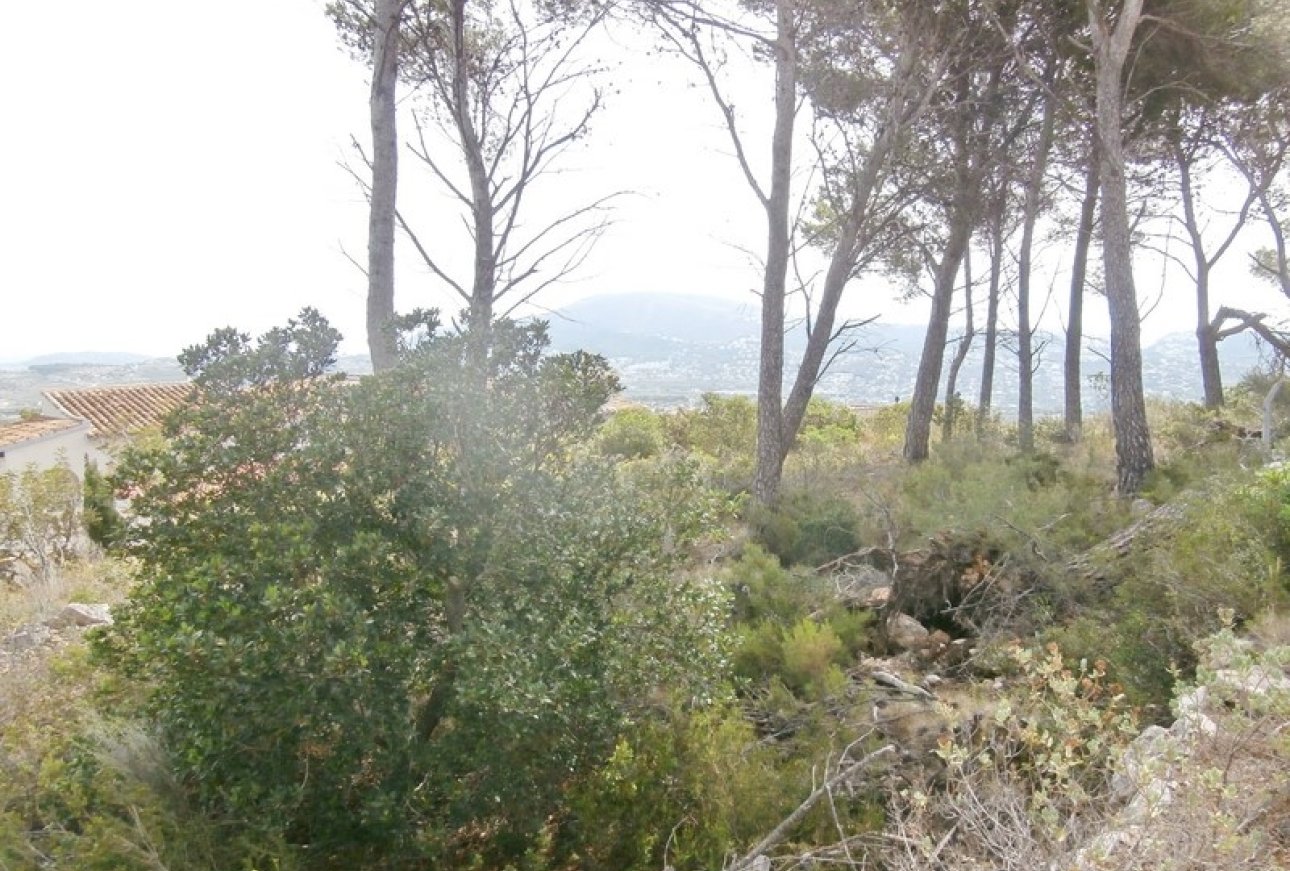 Verkoop - Land - Moraira - Benimeit
