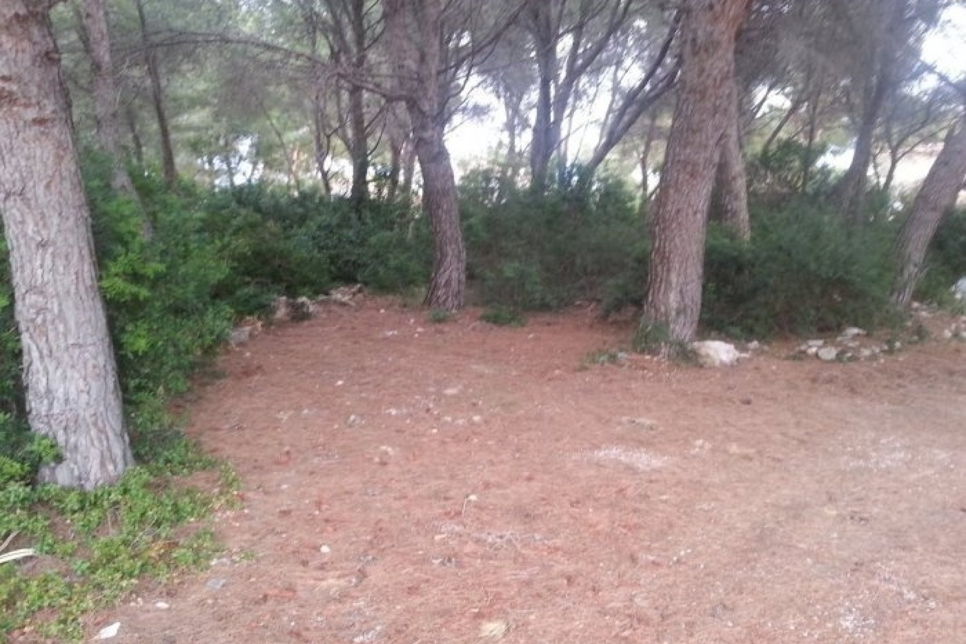 Verkoop - Land - Moraira - Cap Blanc