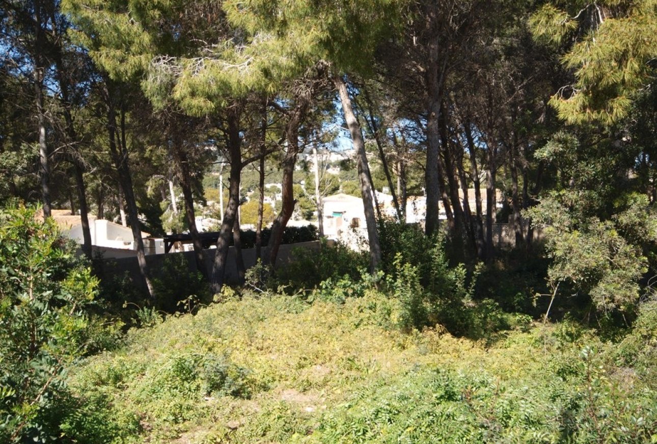 Verkoop - Land - Moraira - Cap Blanc