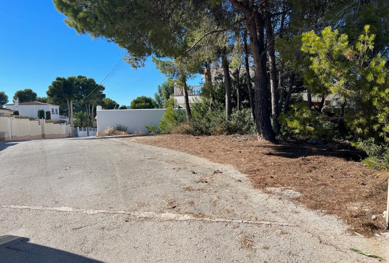 Verkoop - Land - Moraira - El Bosque