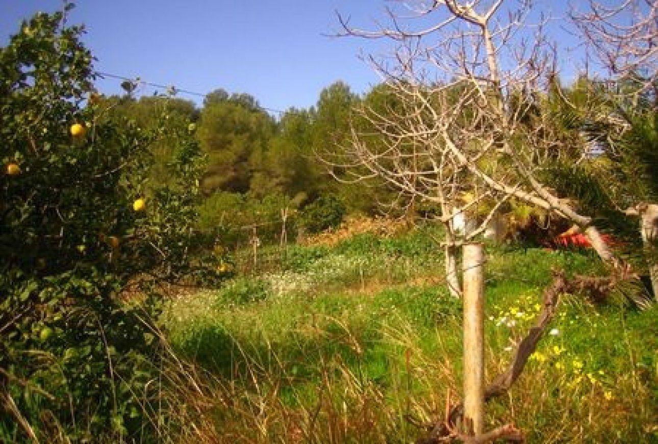 Verkoop - Land - Moraira - El Portet