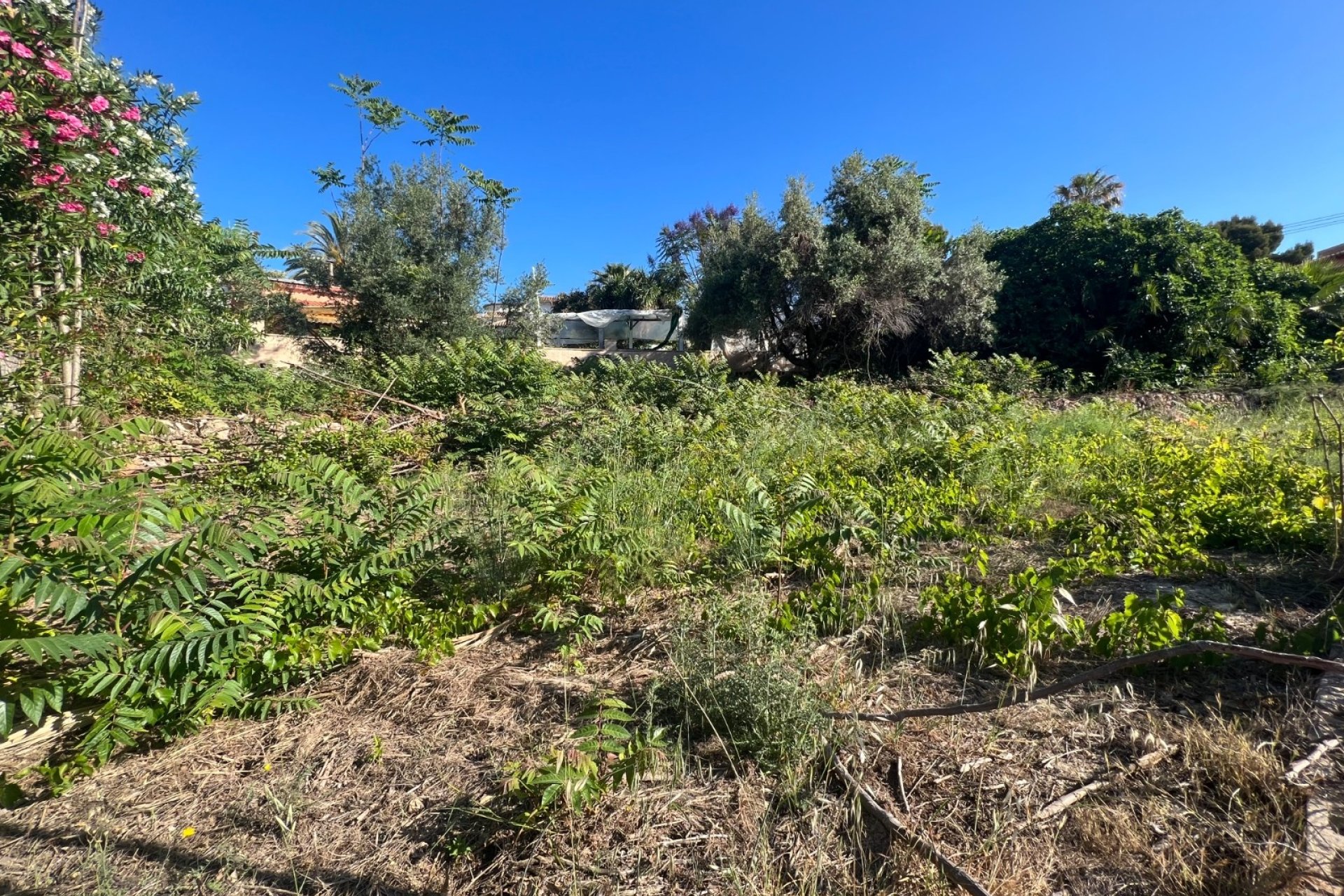 Verkoop - Land - Moraira - Moravit