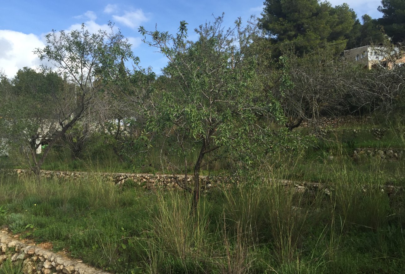 Verkoop - Land - Moraira - Paichi