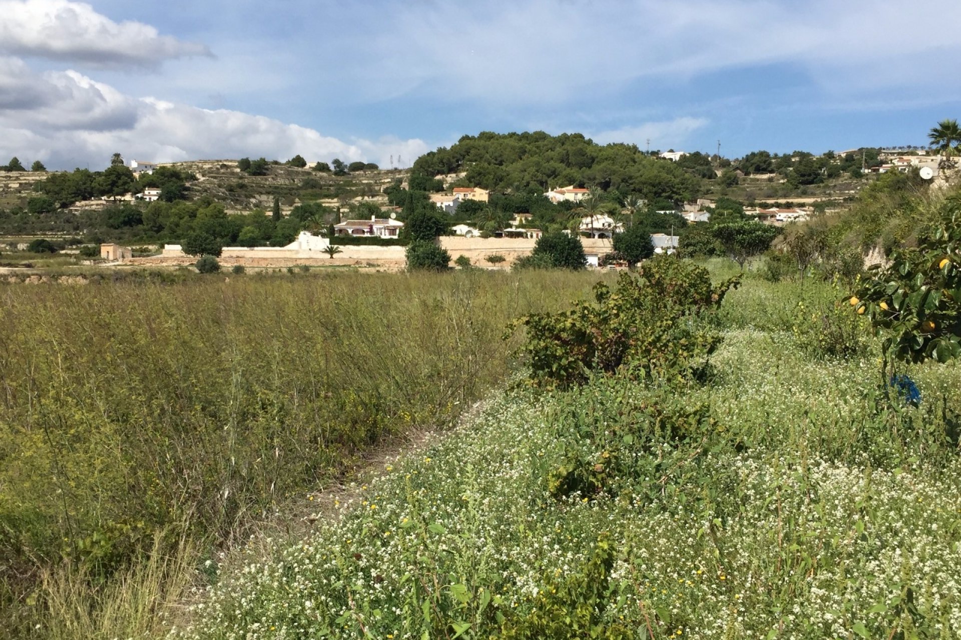 Verkoop - Land - Moraira