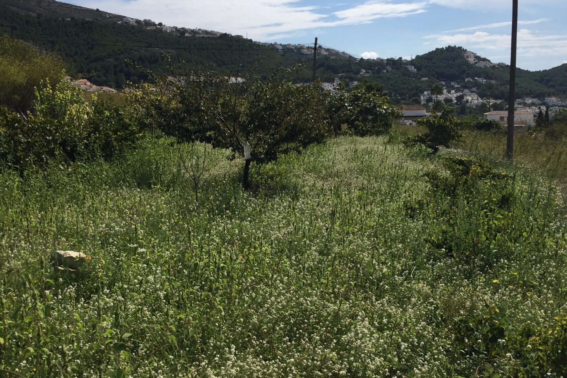 Verkoop - Land - Moraira