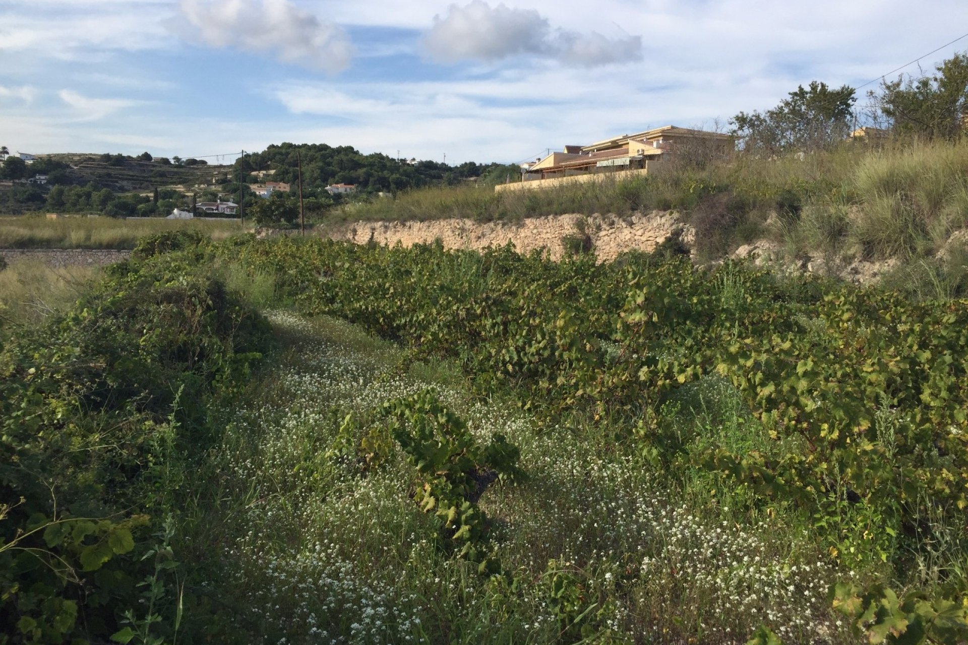 Verkoop - Land - Moraira
