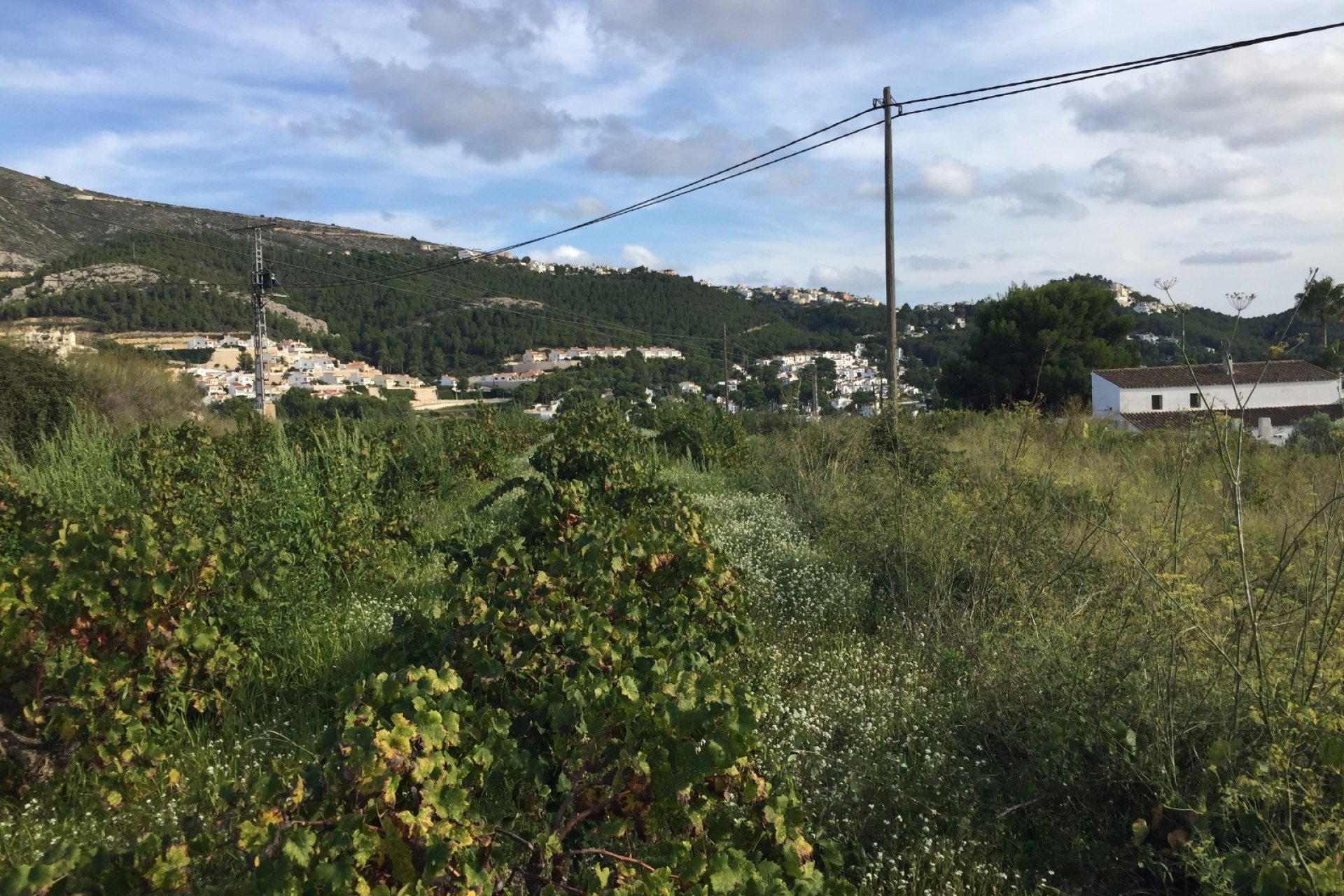Verkoop - Land - Moraira