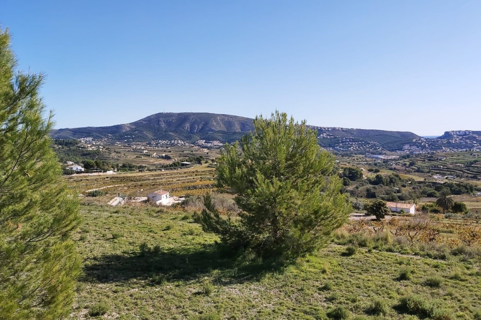 Verkoop - Land - Teulada - Centro