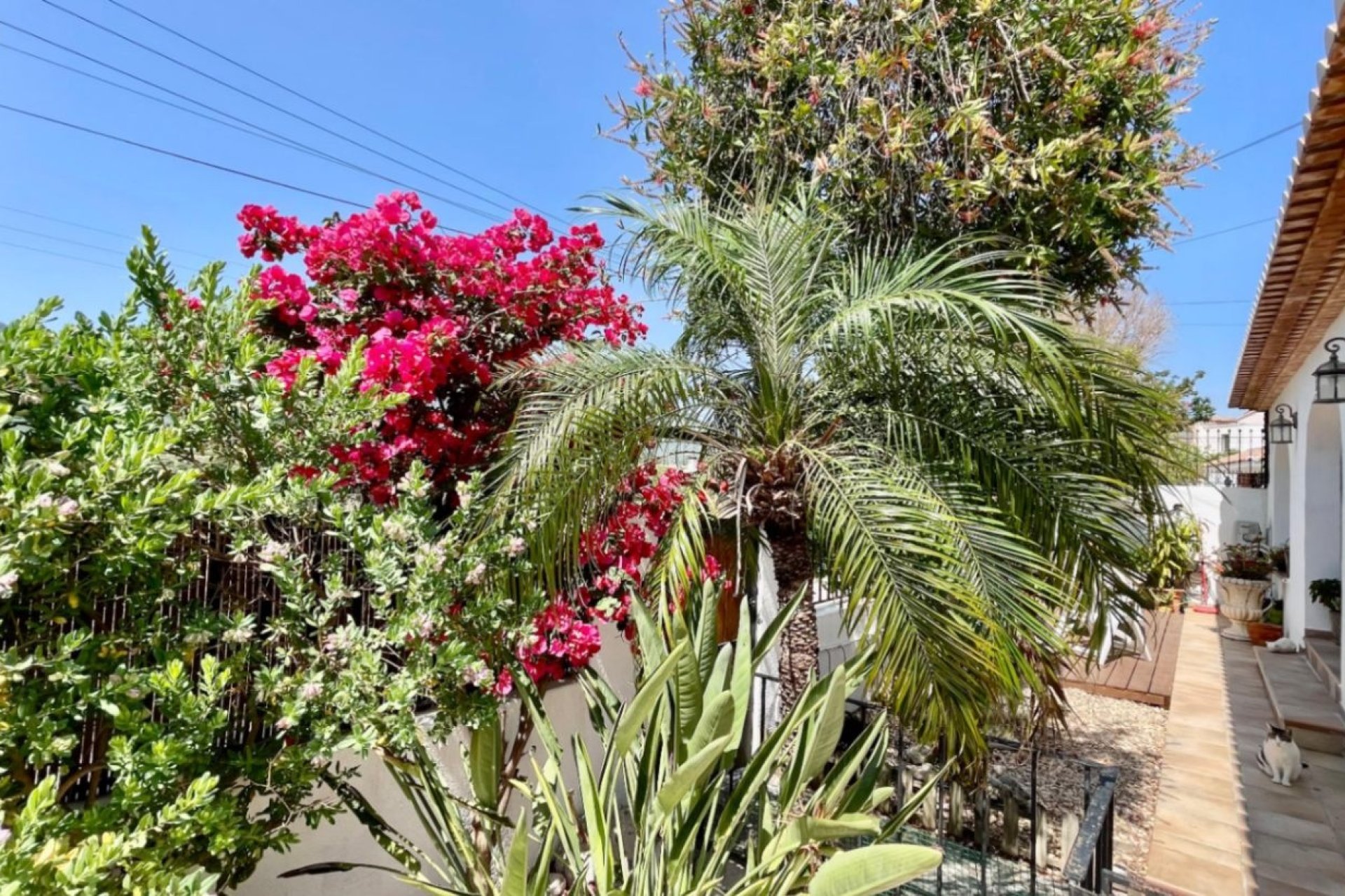 Verkoop - Villa - Alcalalí - Pueblo