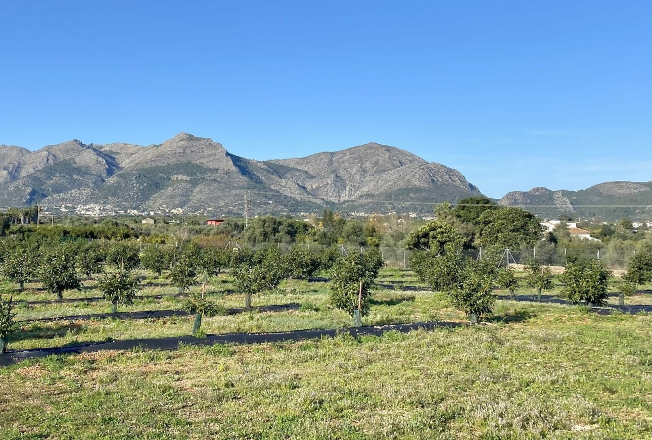 Verkoop - Villa - Benidoleig