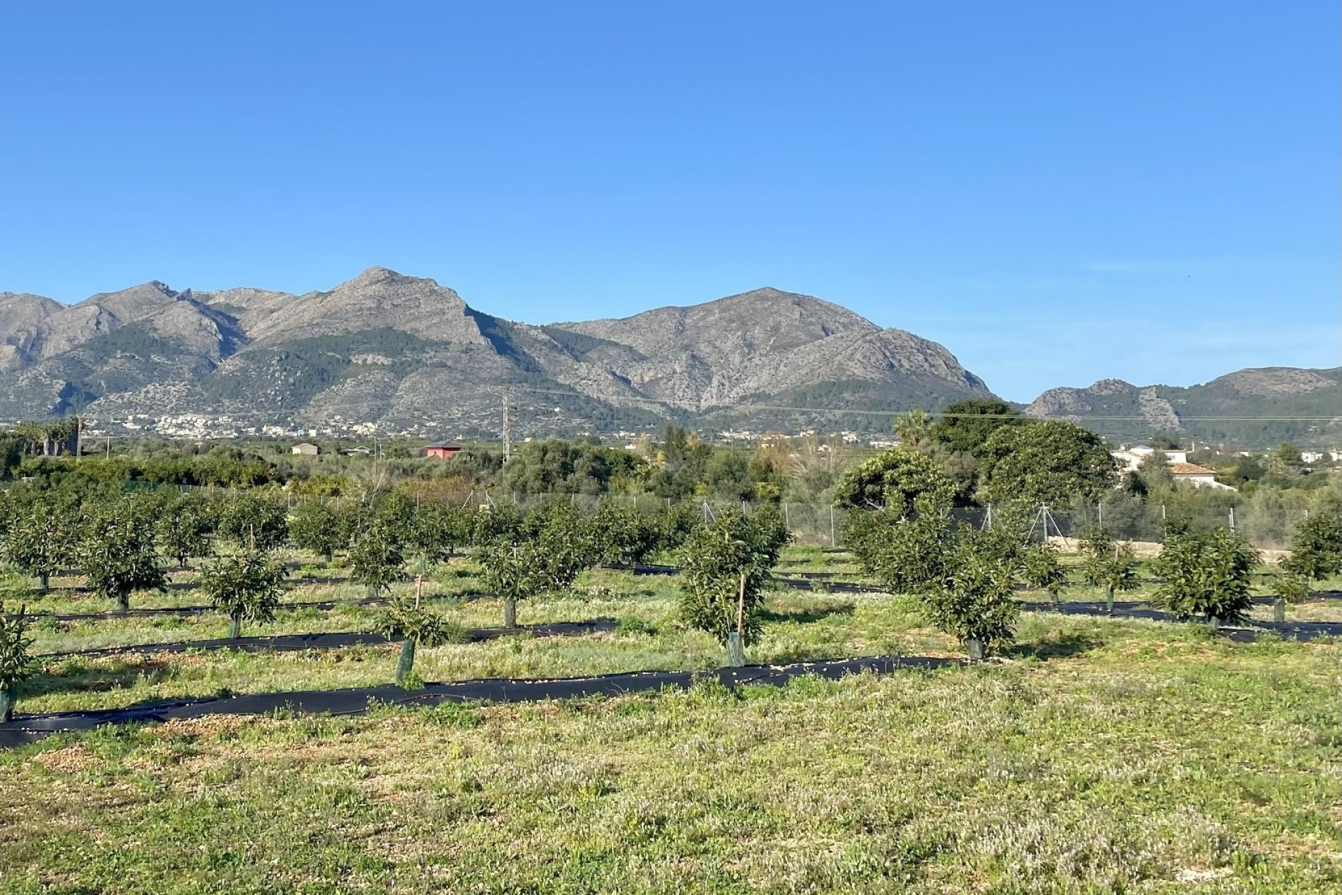 Verkoop - Villa - Benidoleig