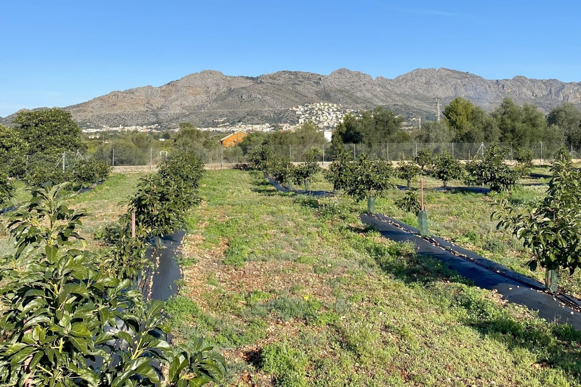 Verkoop - Villa - Benidoleig