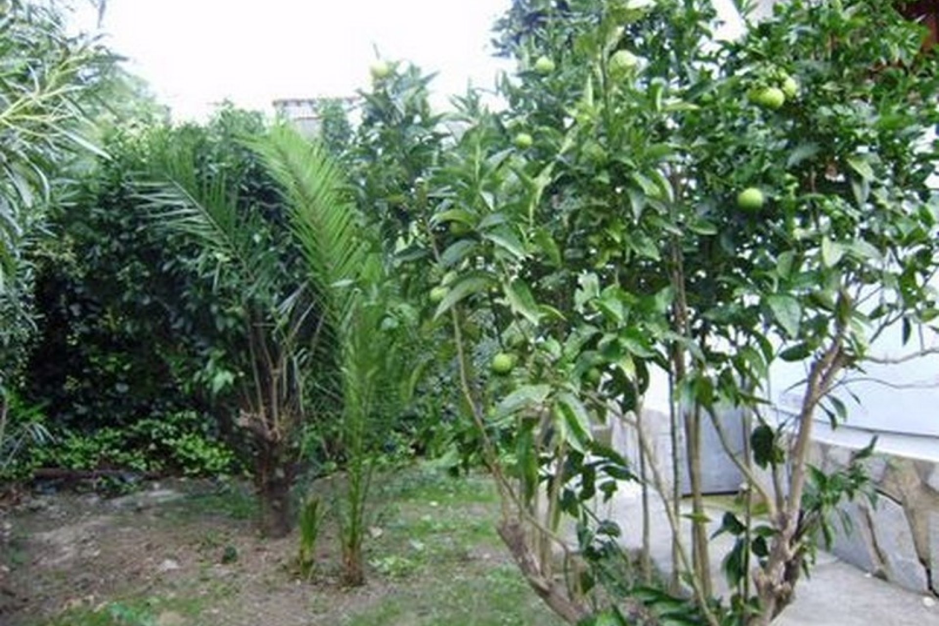 Verkoop - Villa - Benissa - Montemar