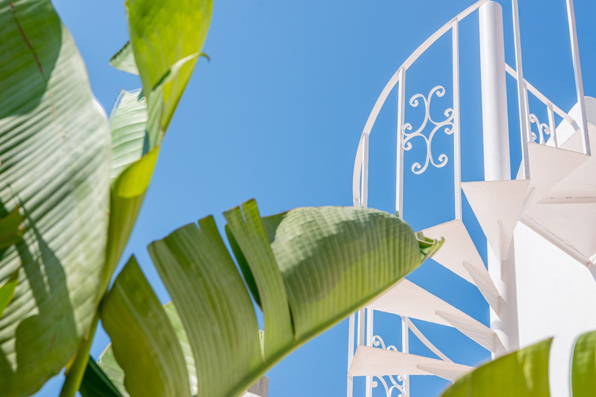 Verkoop - Villa - Benissa - San Jaime