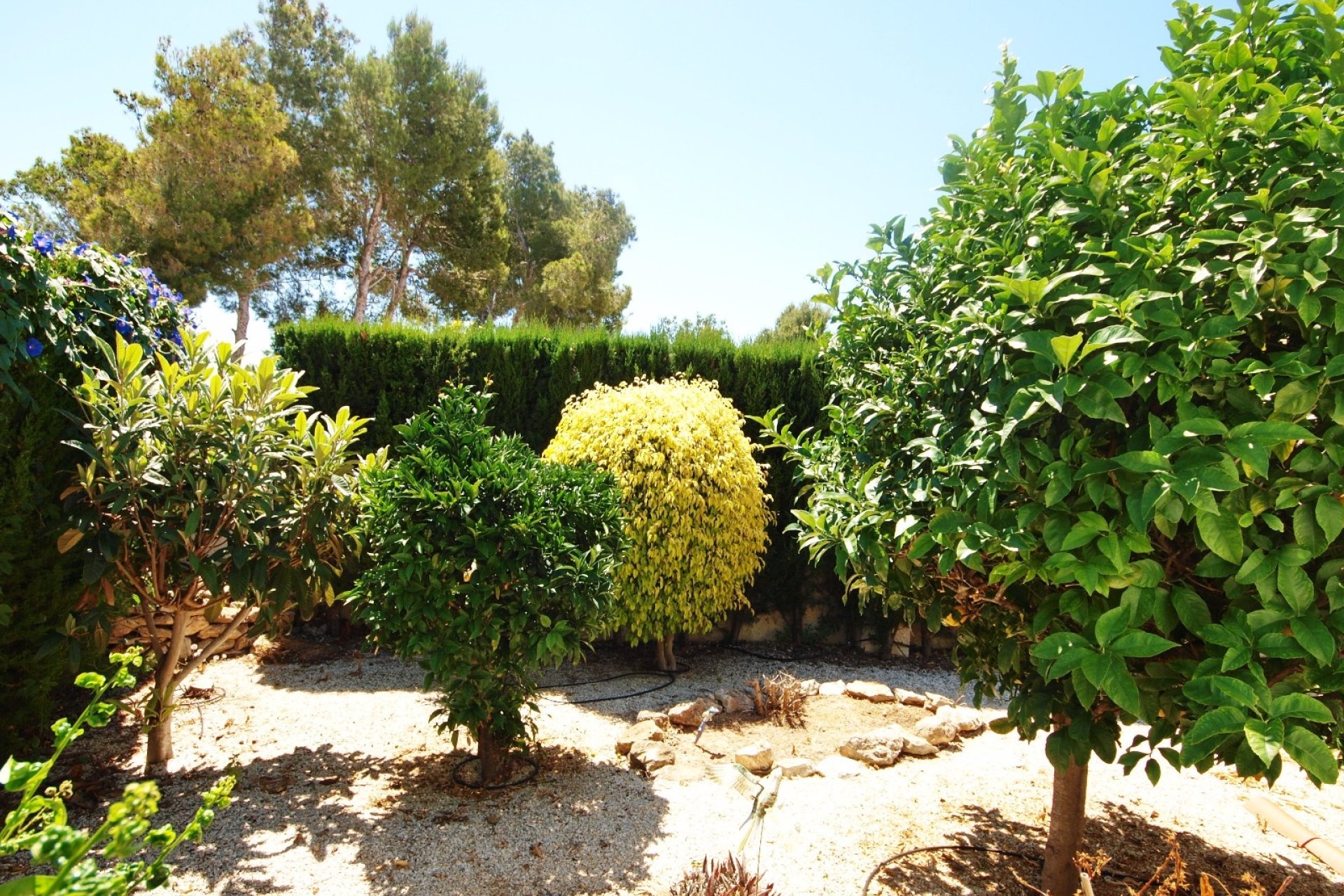 Verkoop - Villa - Benissa