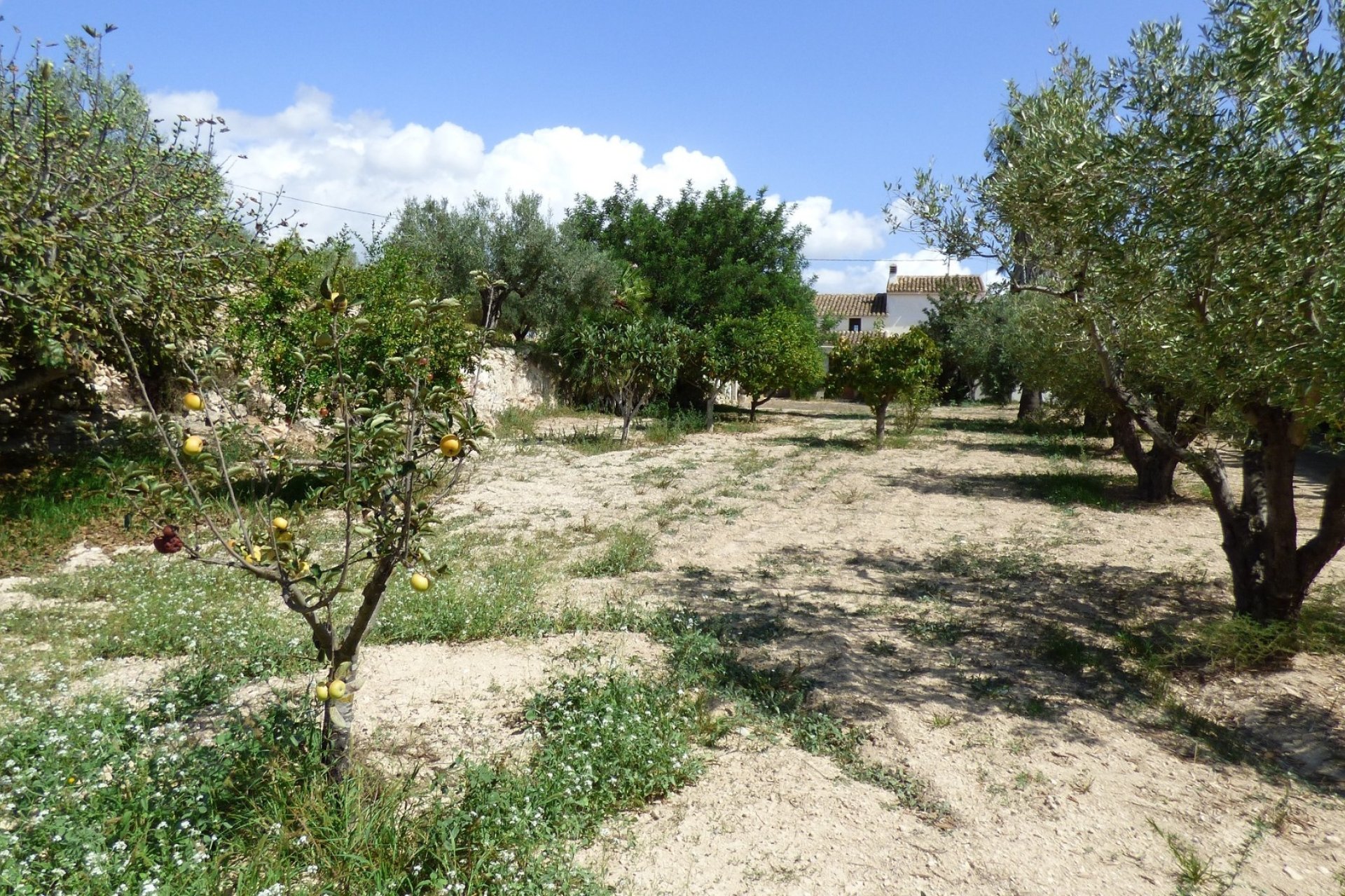 Verkoop - Villa - Benissa