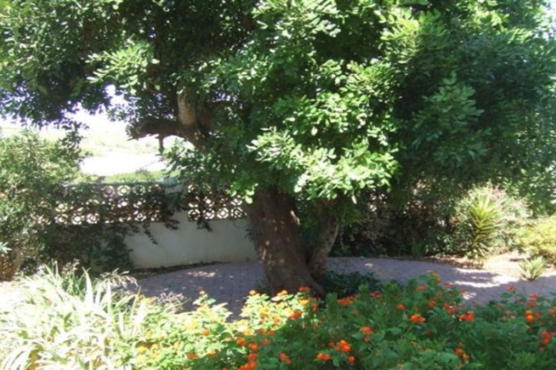 Verkoop - Villa - Benitachell - Calistros