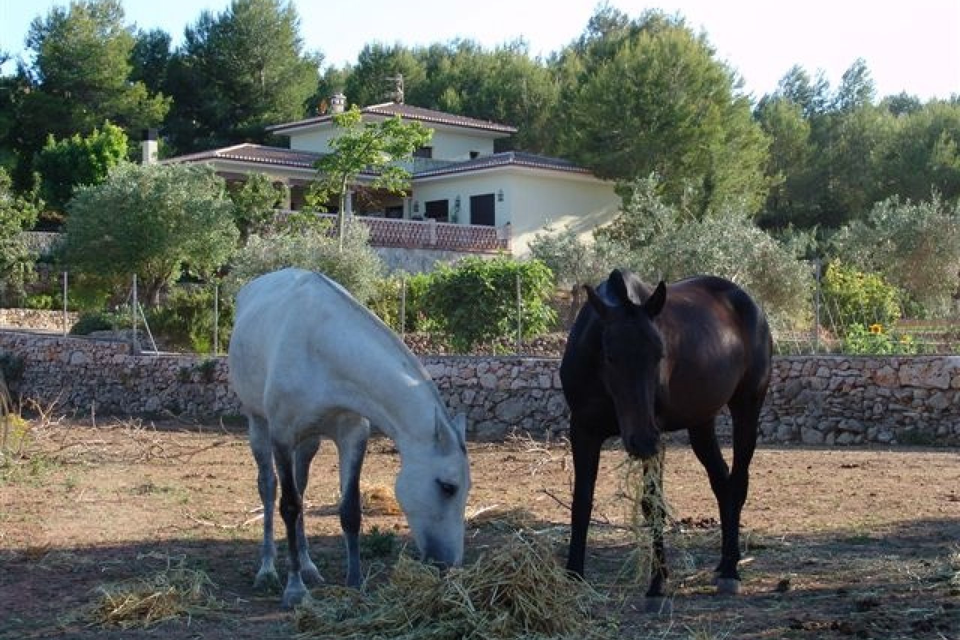 Verkoop - Villa - Javea - Javea/Xabia
