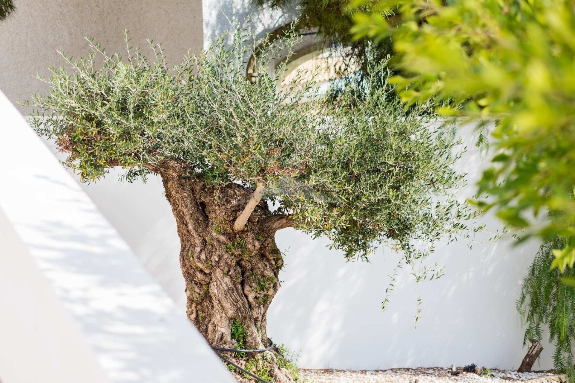 Verkoop - Villa - Moraira - El Portet