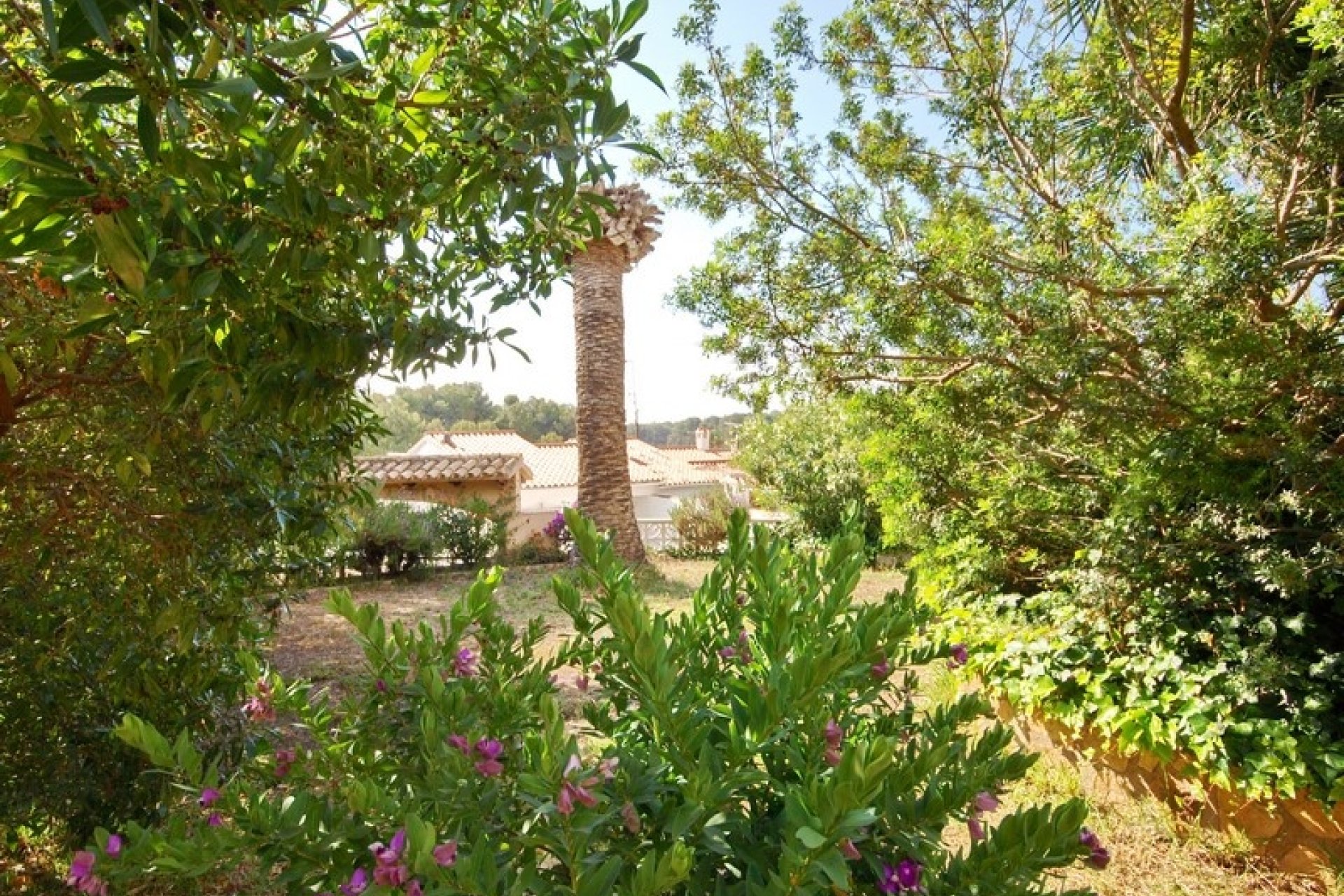 Verkoop - Villa - Moraira - Pinar de L'Adovcat