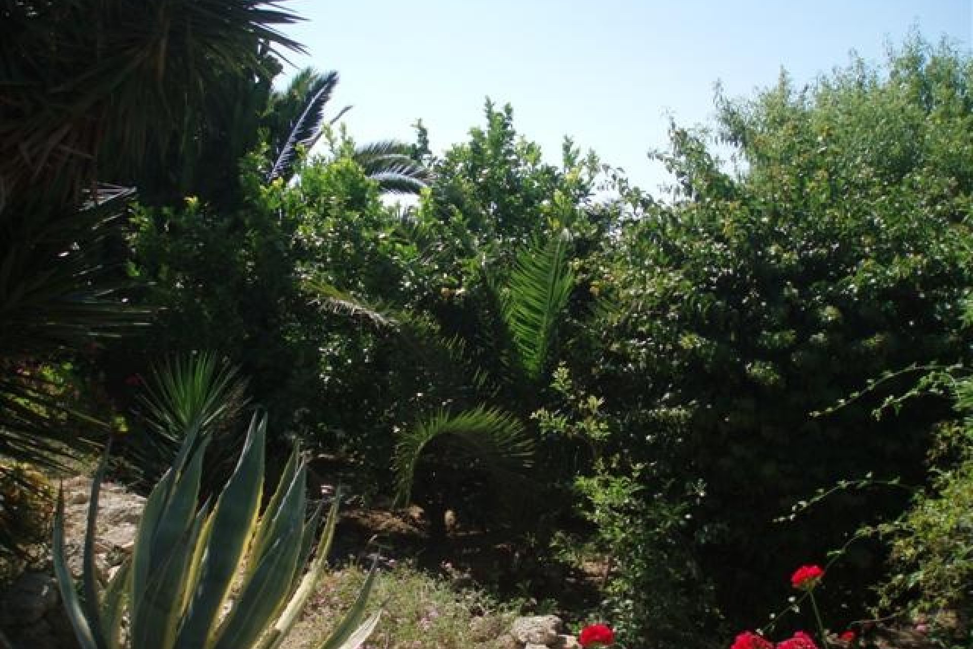 Verkoop - Villa - Moraira - Pinar de L'Adovcat