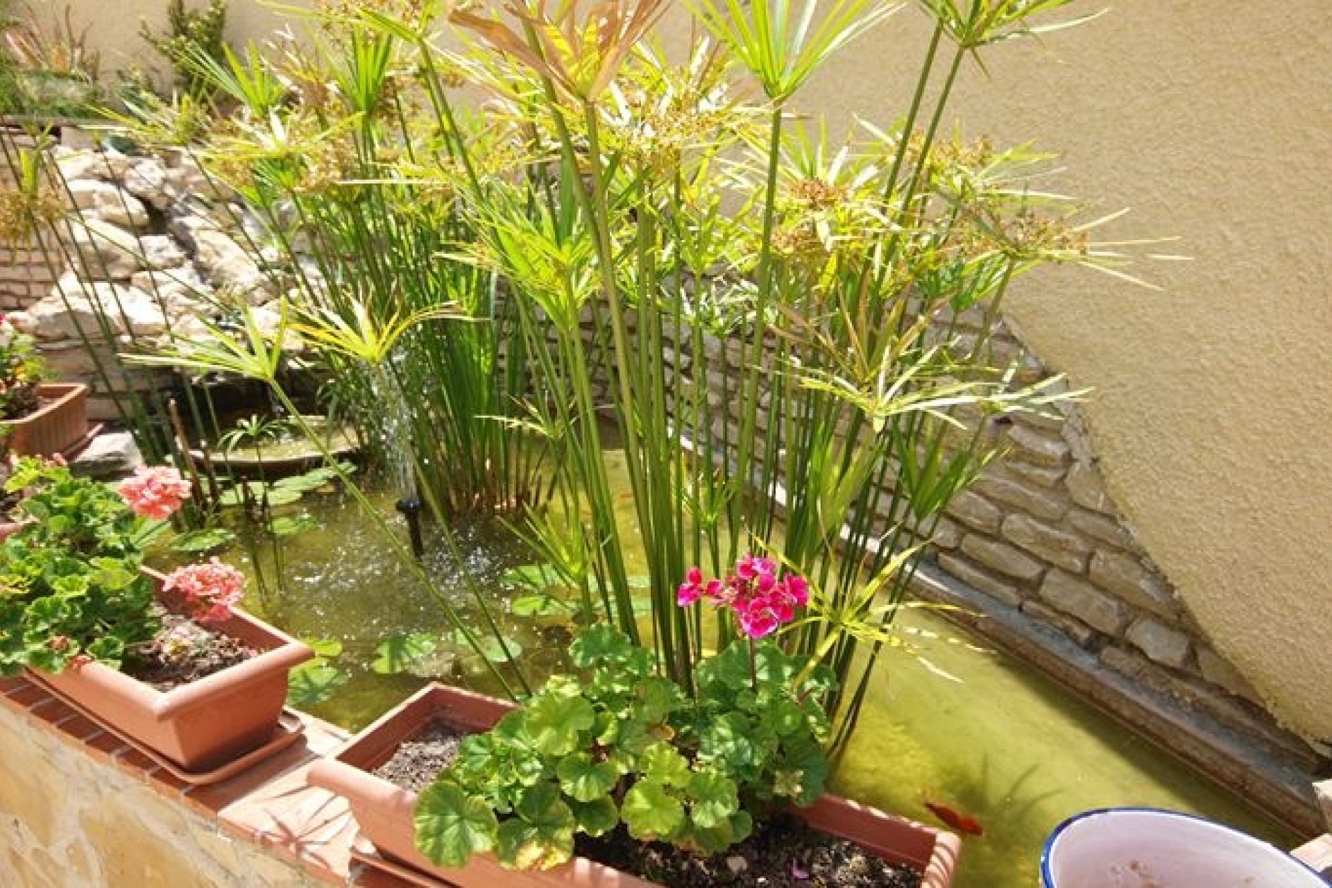 Verkoop - Villa - Moraira - Sabatera